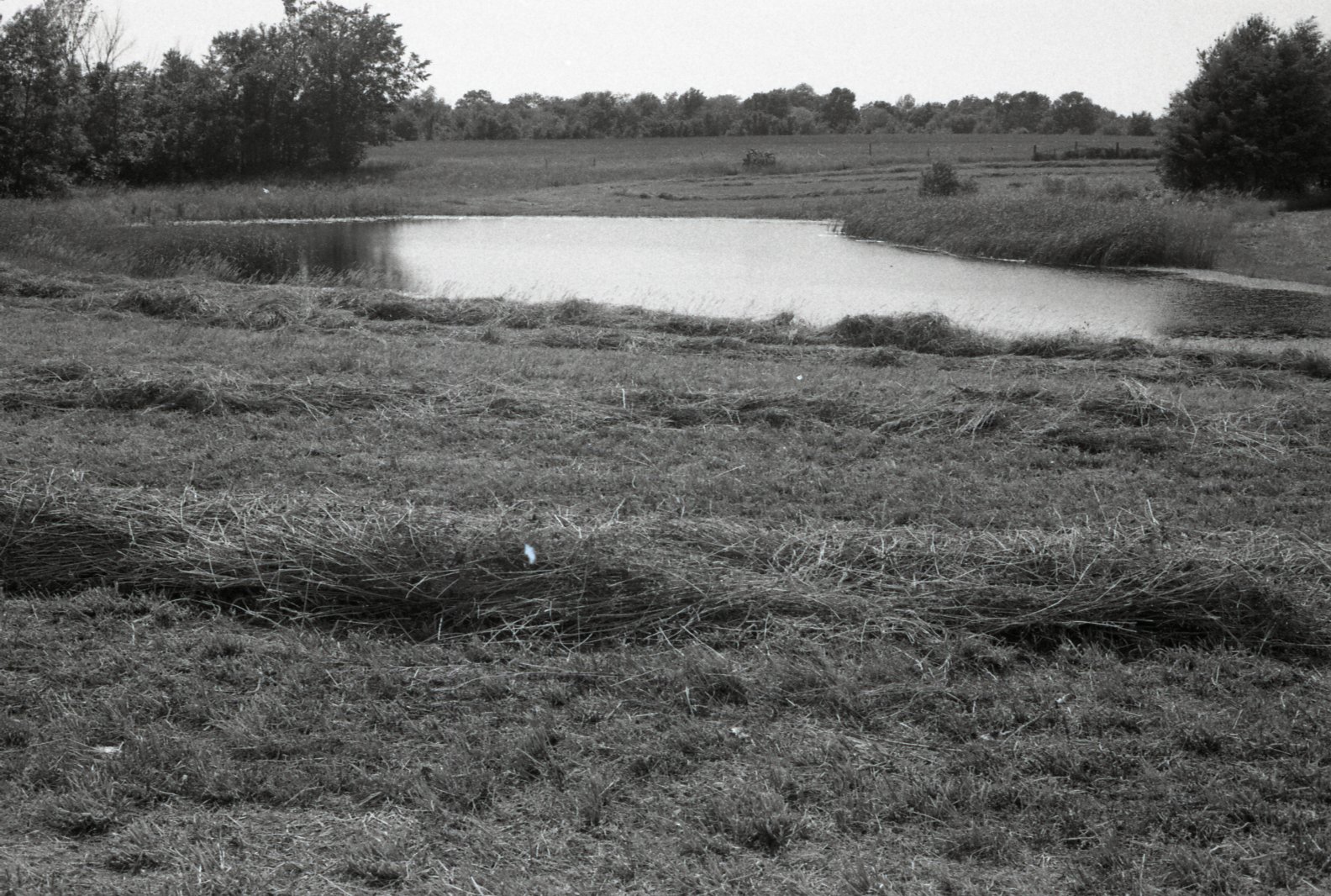 Field with water runoff pond
