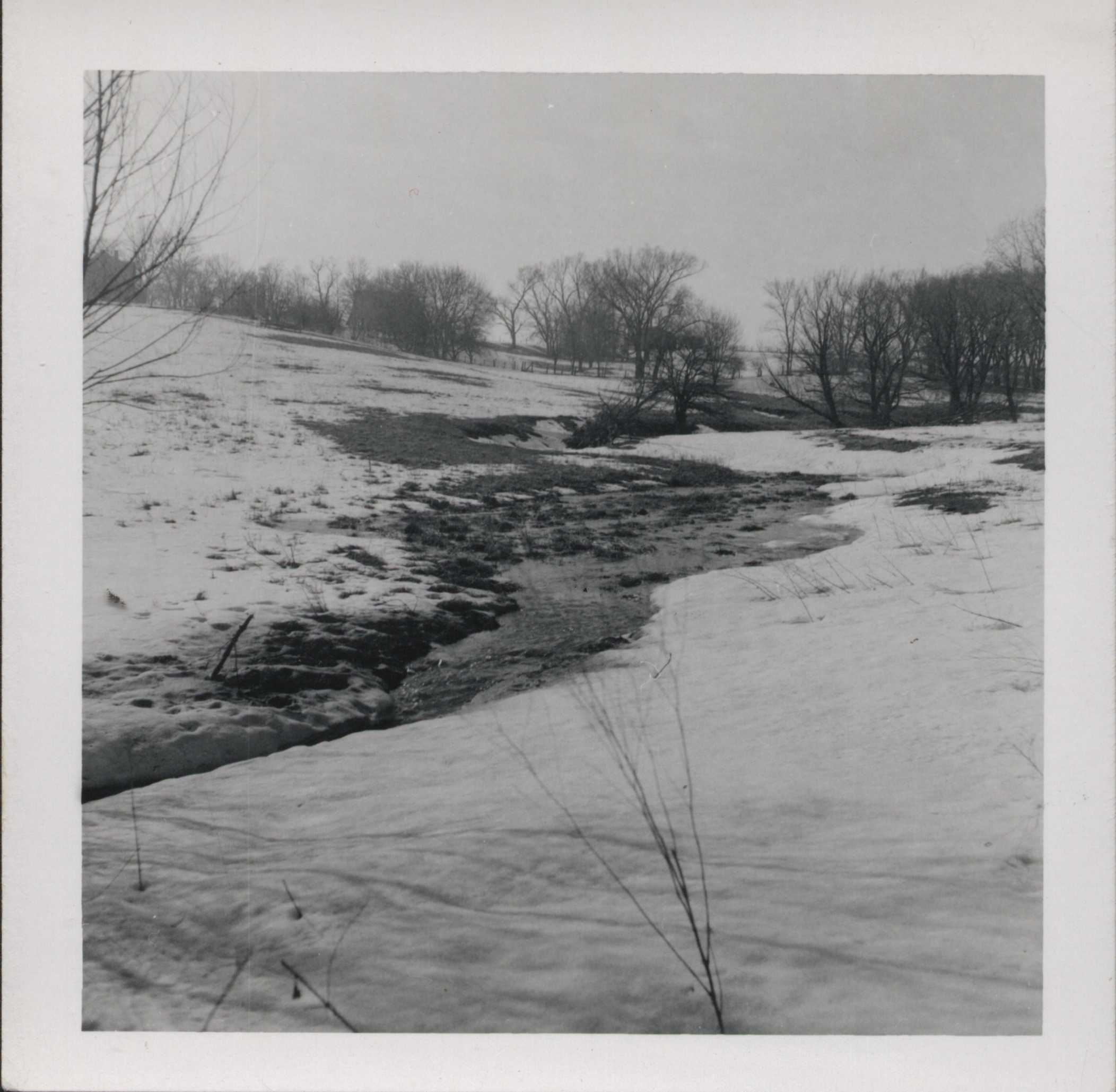 Sod waterway on Glen McCullough's farm.