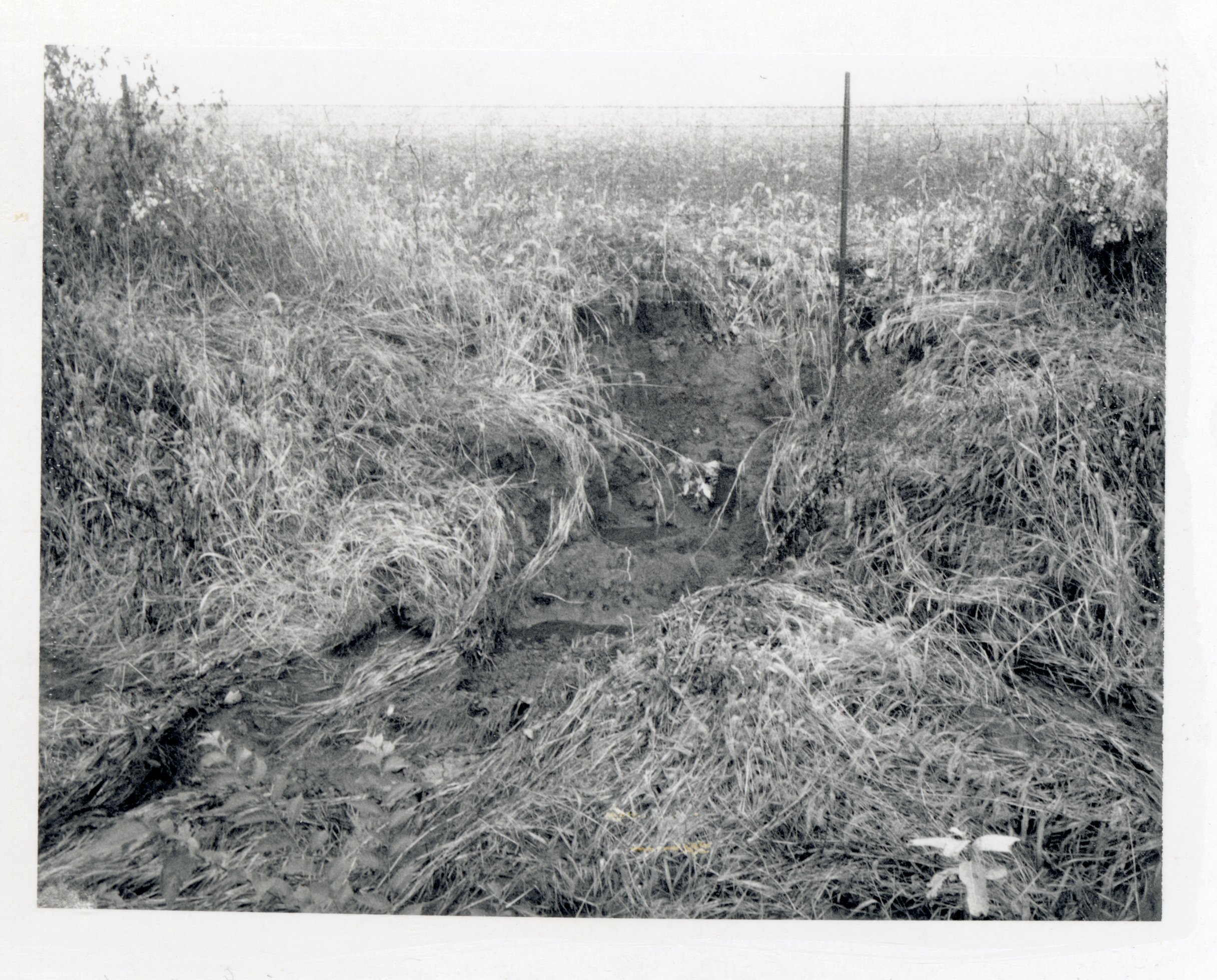 1970 Terrace washout