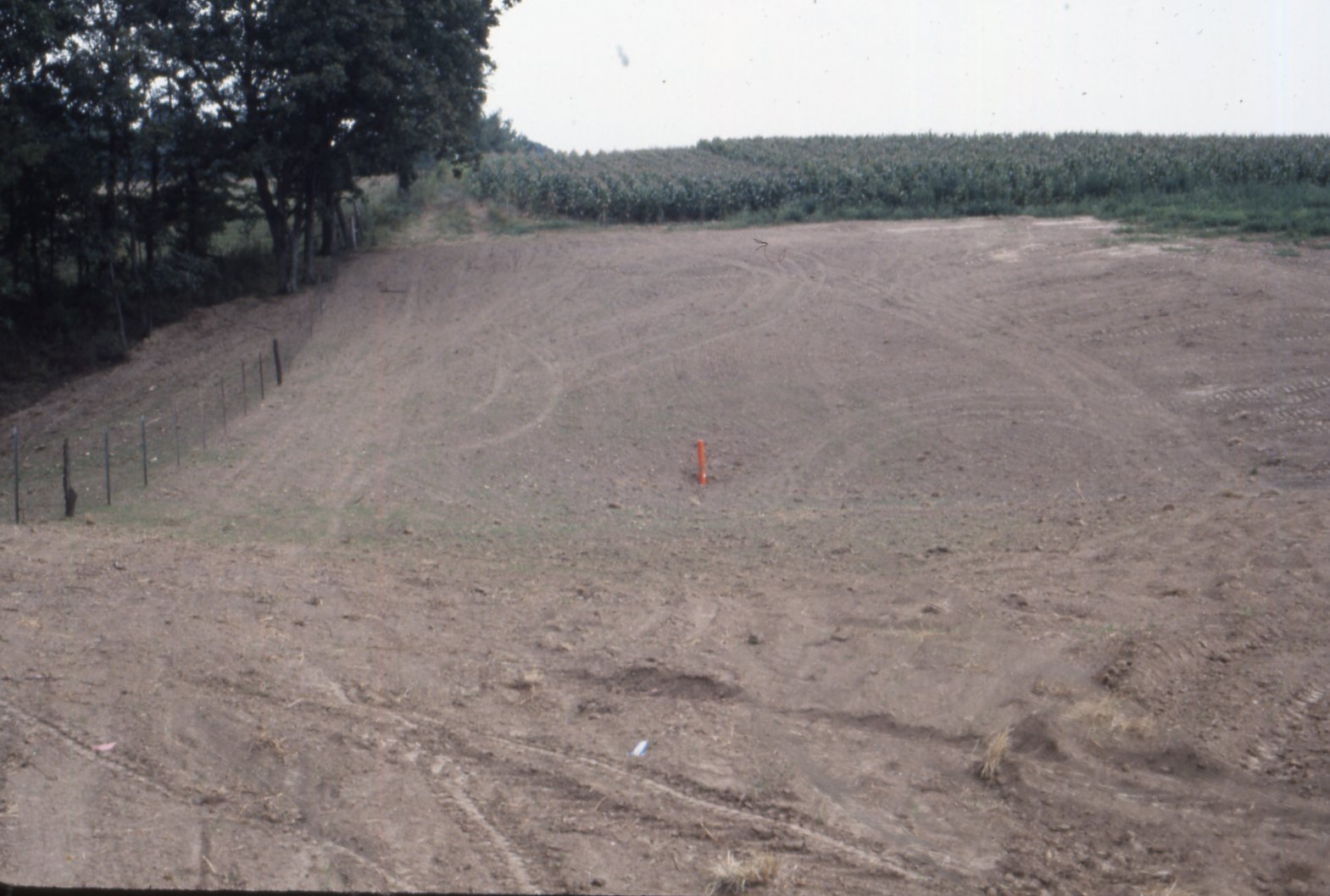 Graded dirt road near corn field