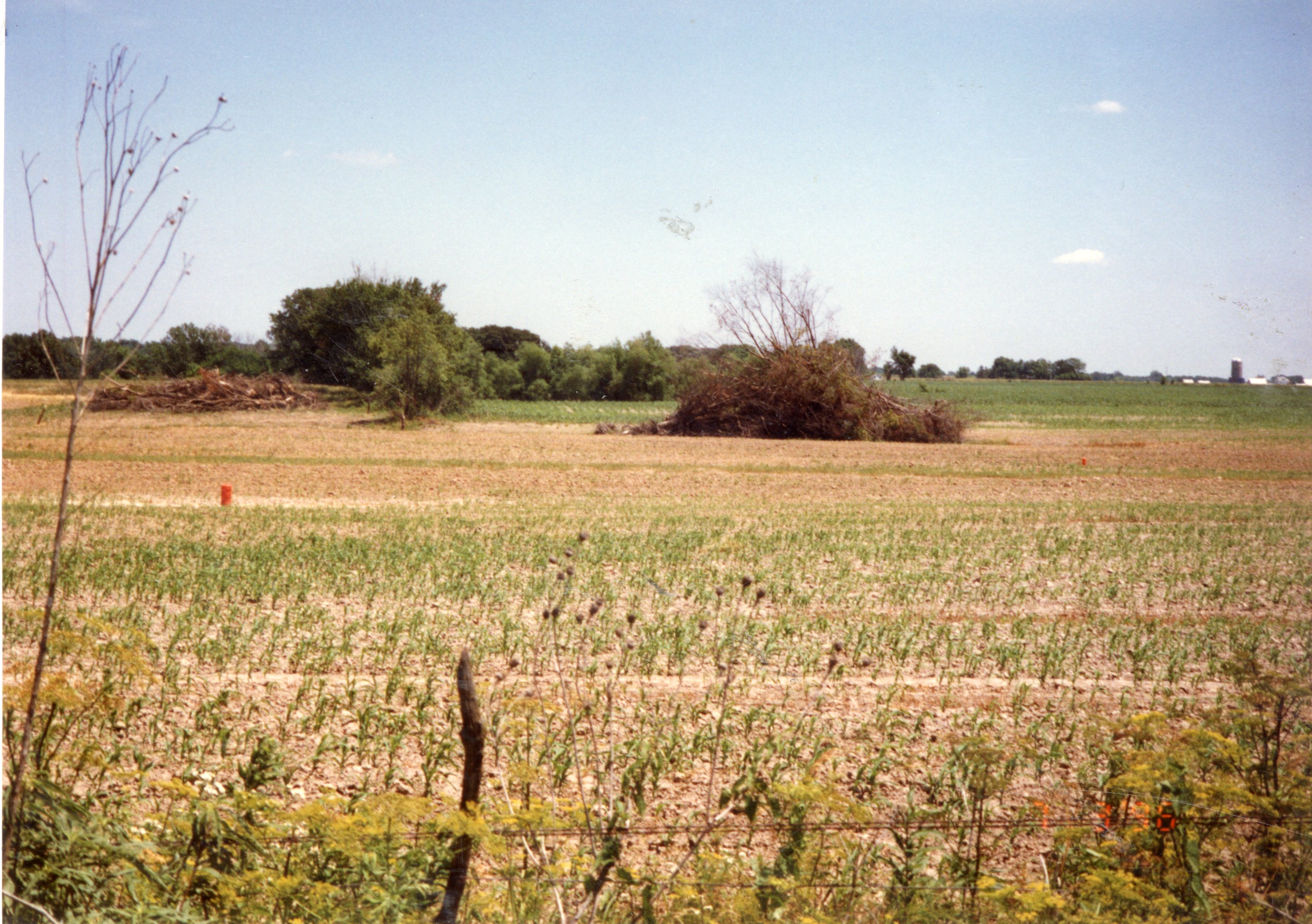 1996 ART Trust terraces