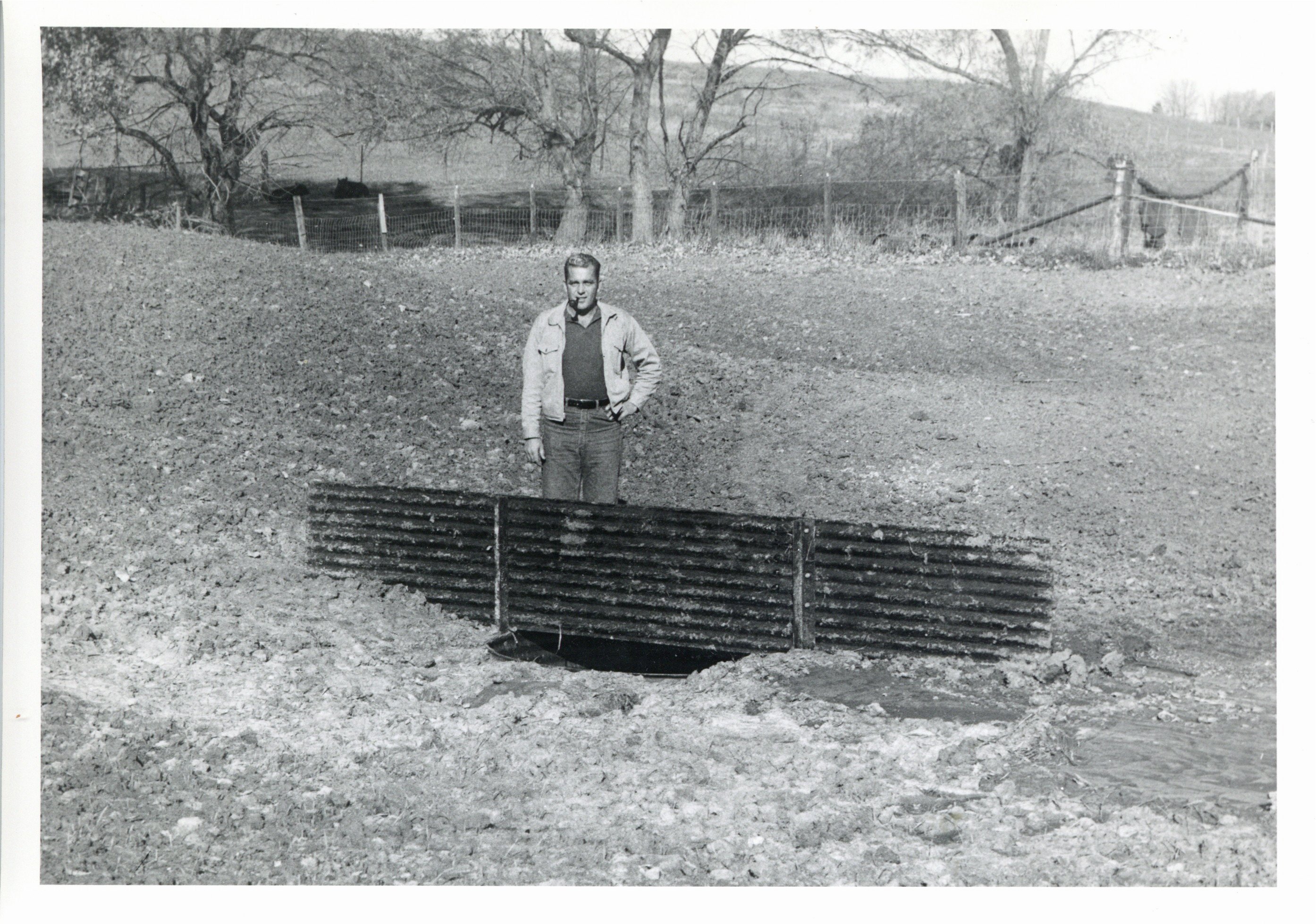 Bill Norton