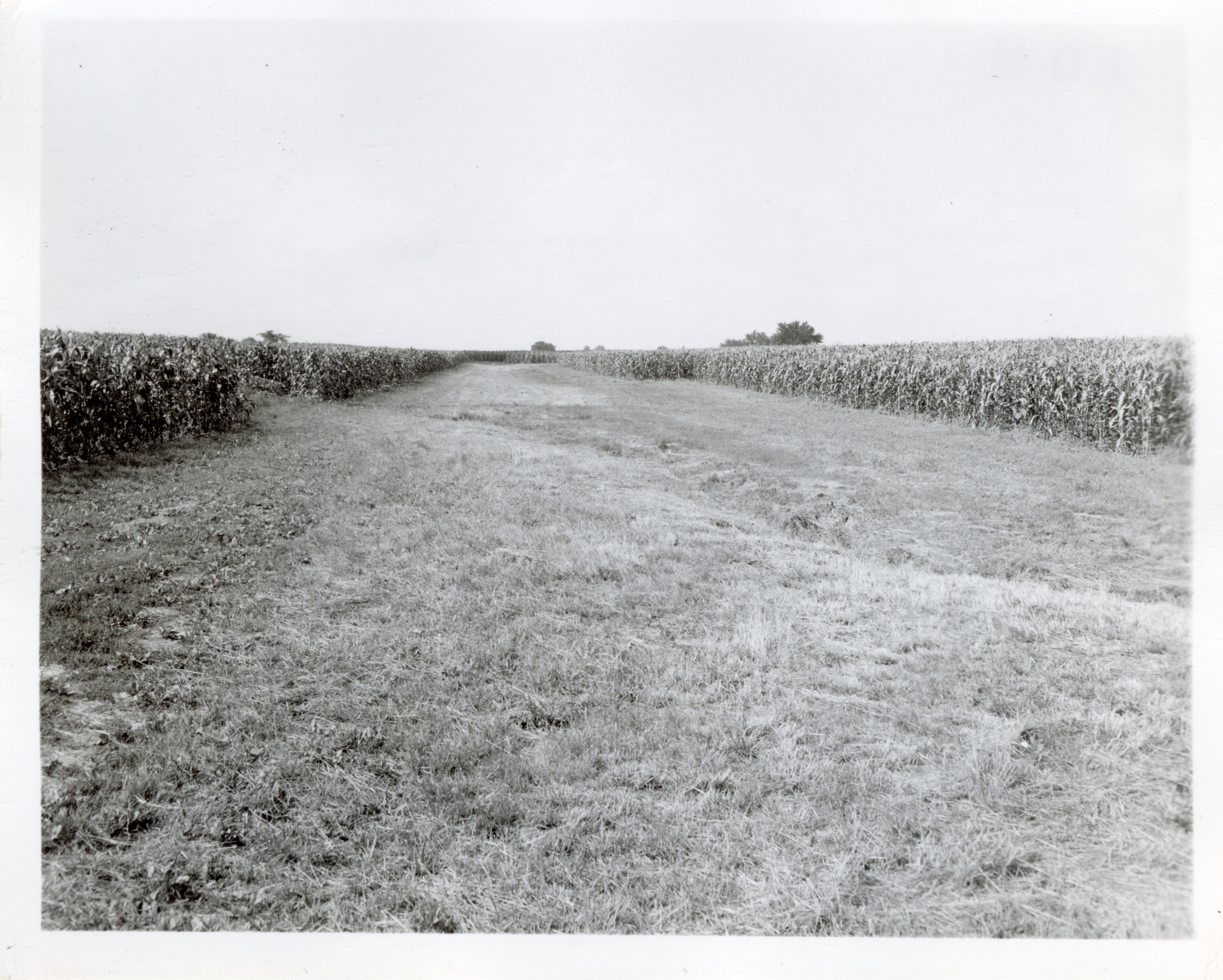 Photograph Collection Of Cropland  