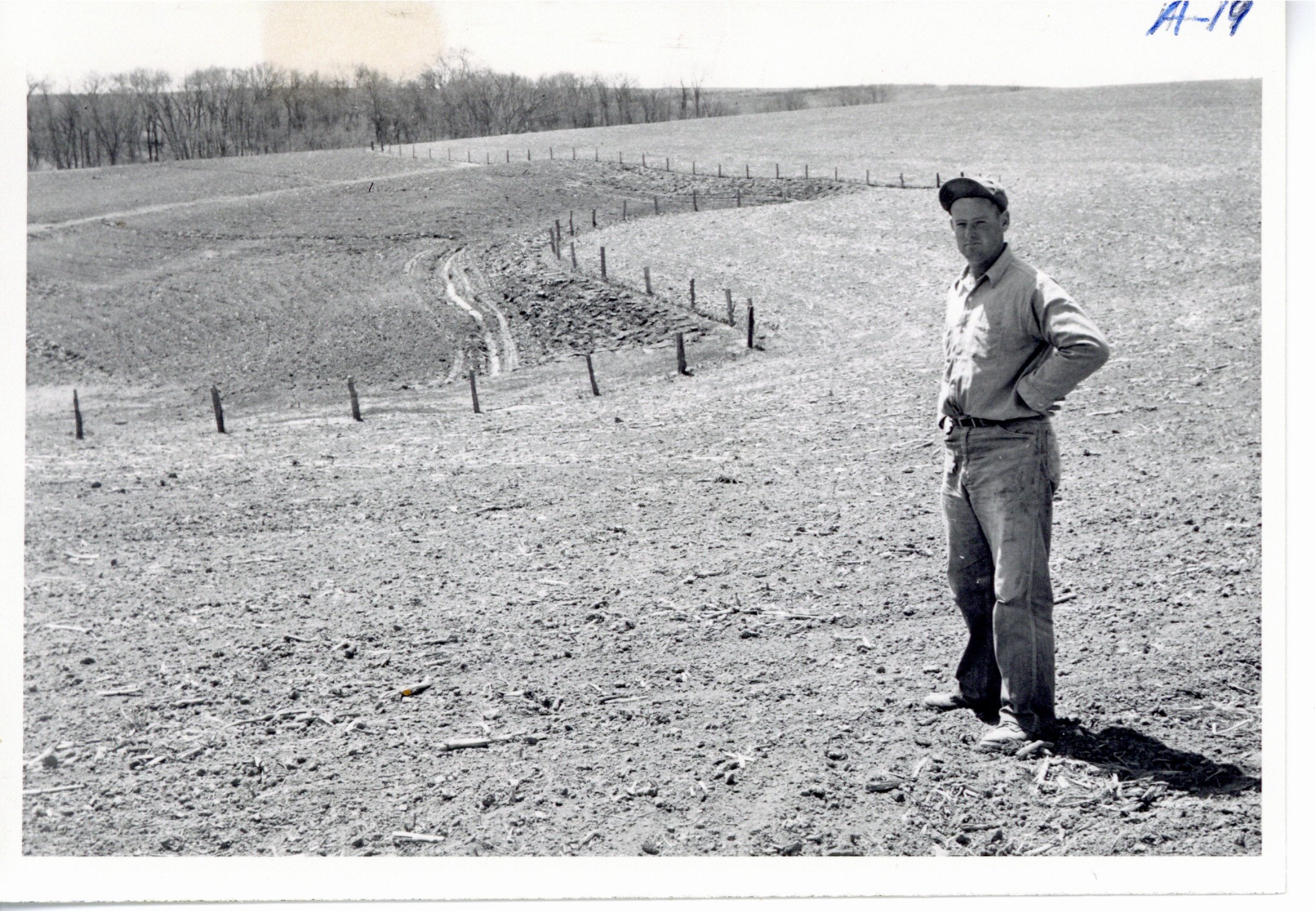 Contour fence, 1957