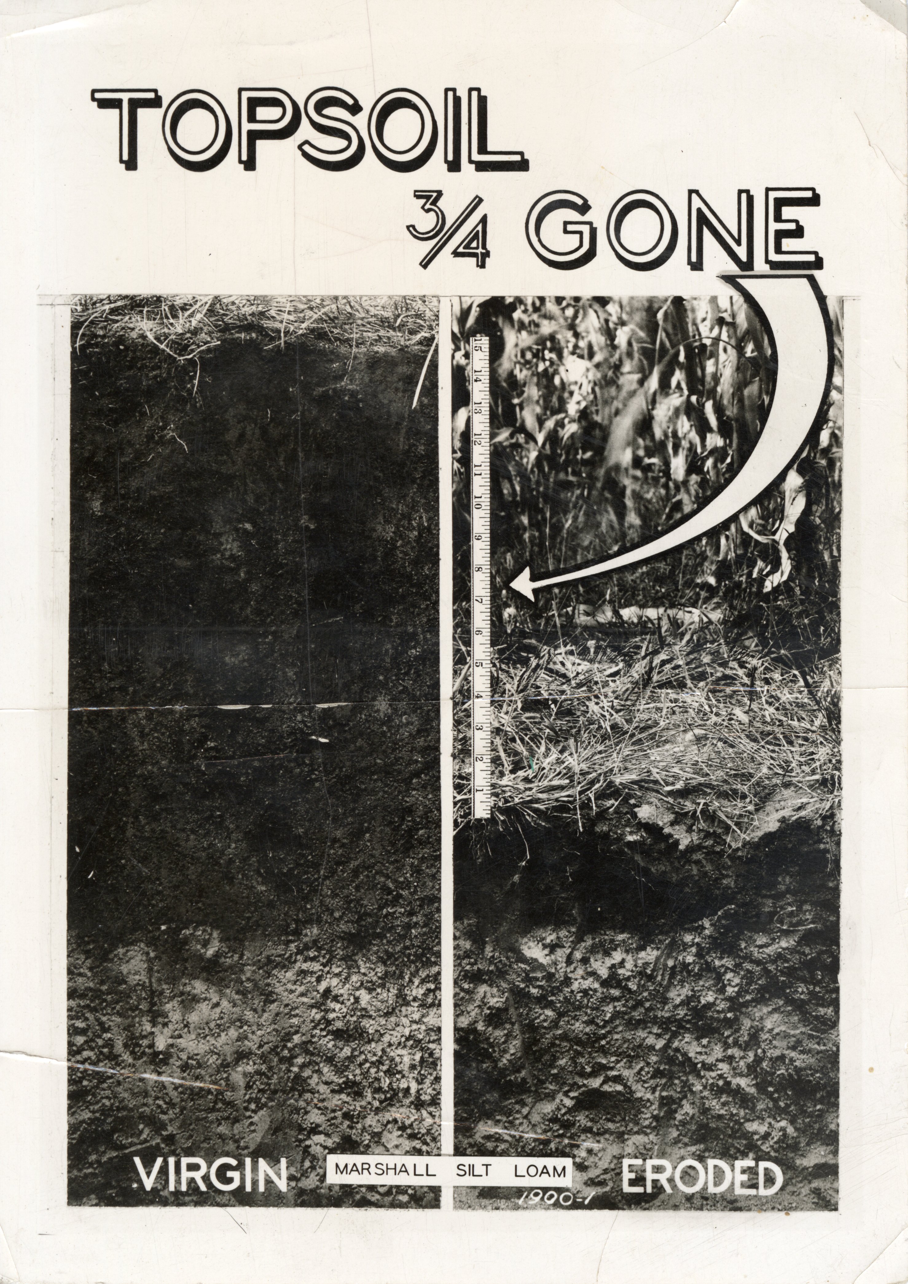 Topsoil 3/4 Gone Illustration