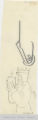 [Tissue Sketches 346.B]