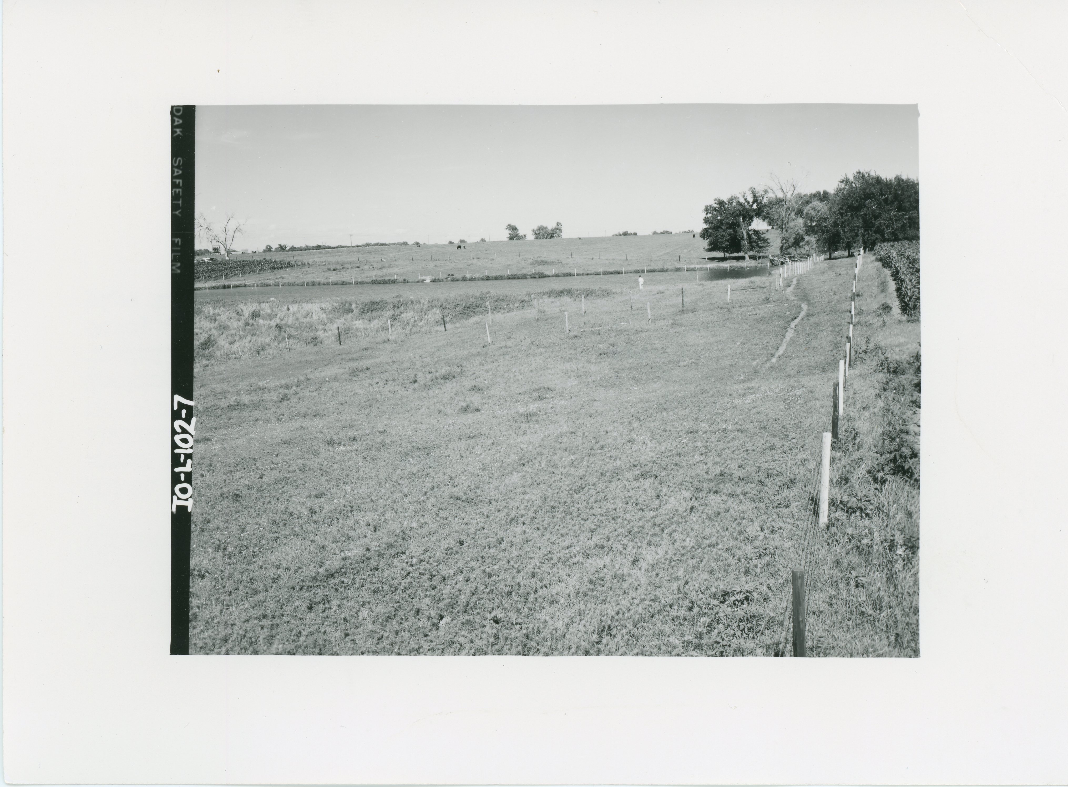 Ray Silvers farm pond in Polk County, 1965