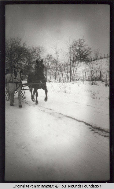 Horses pulling slay