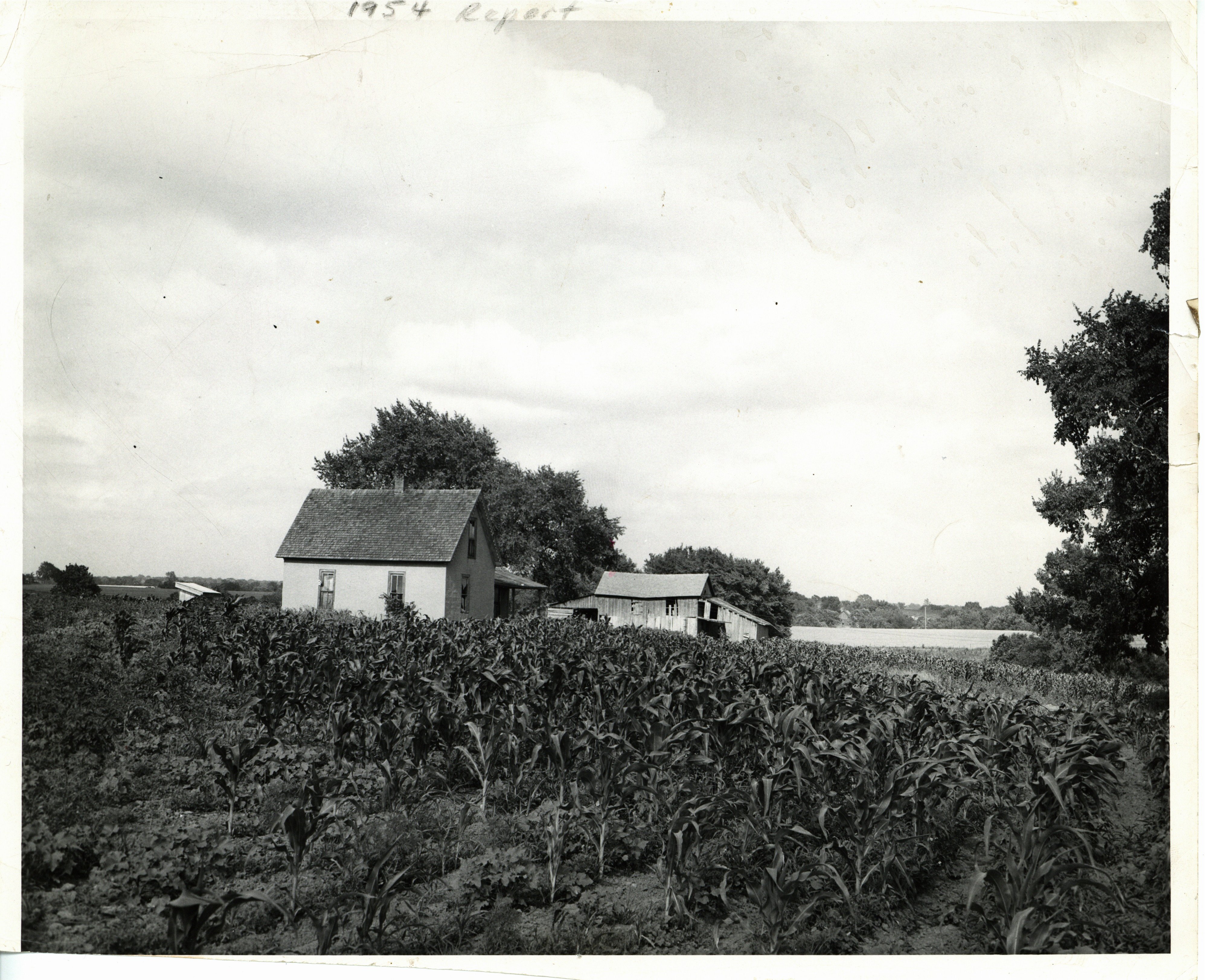 District farm