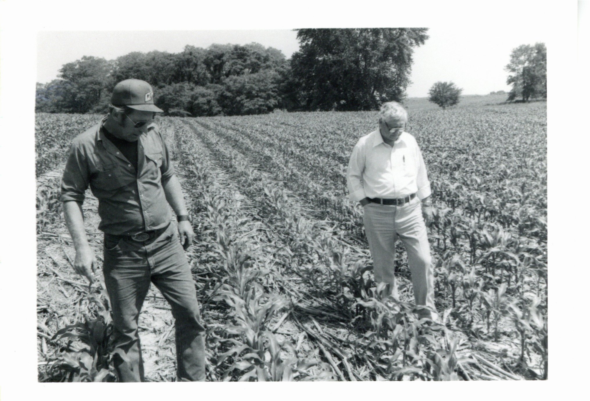 No-till on Glen Gravert farm