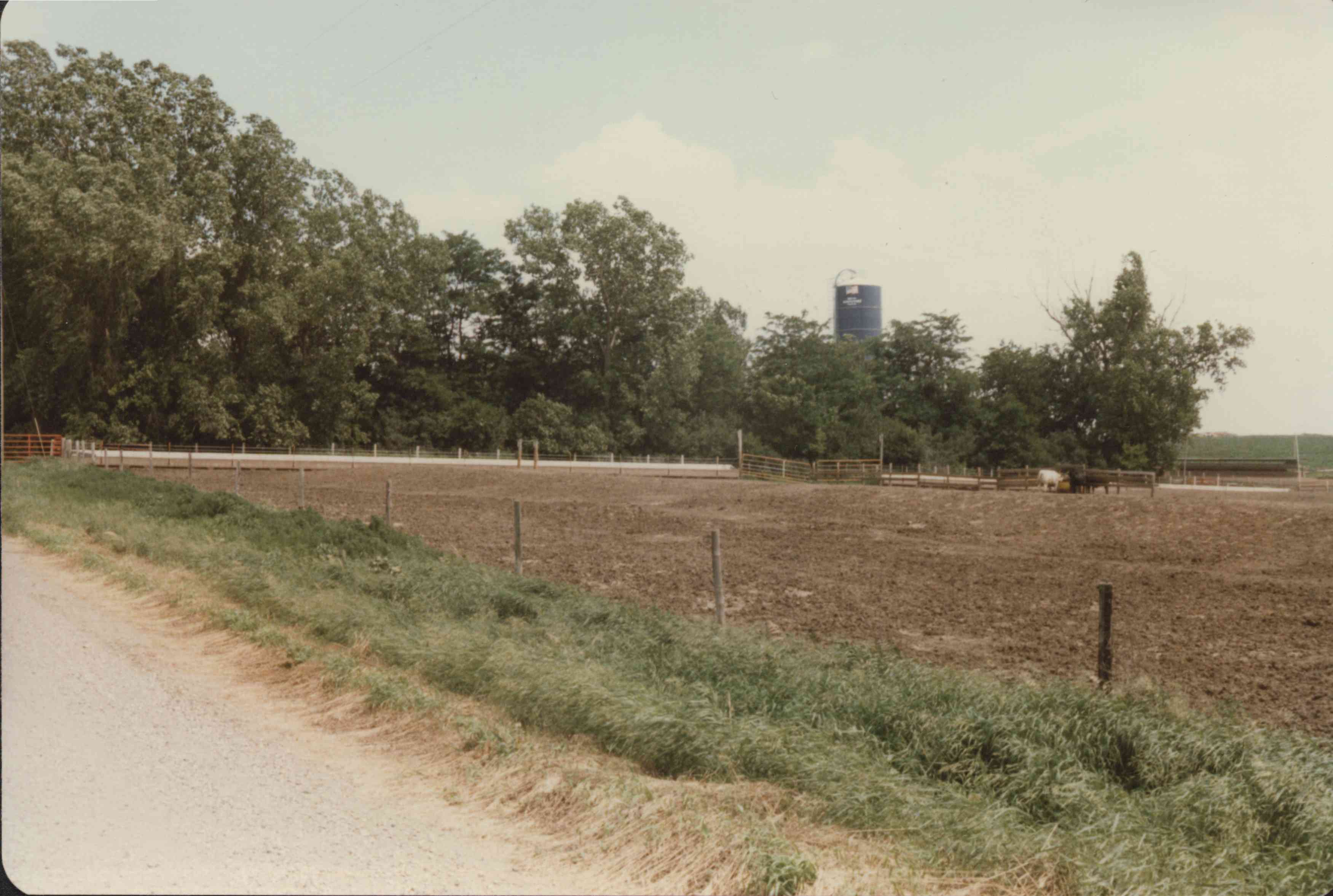 Farmland with cattle feeding in distance