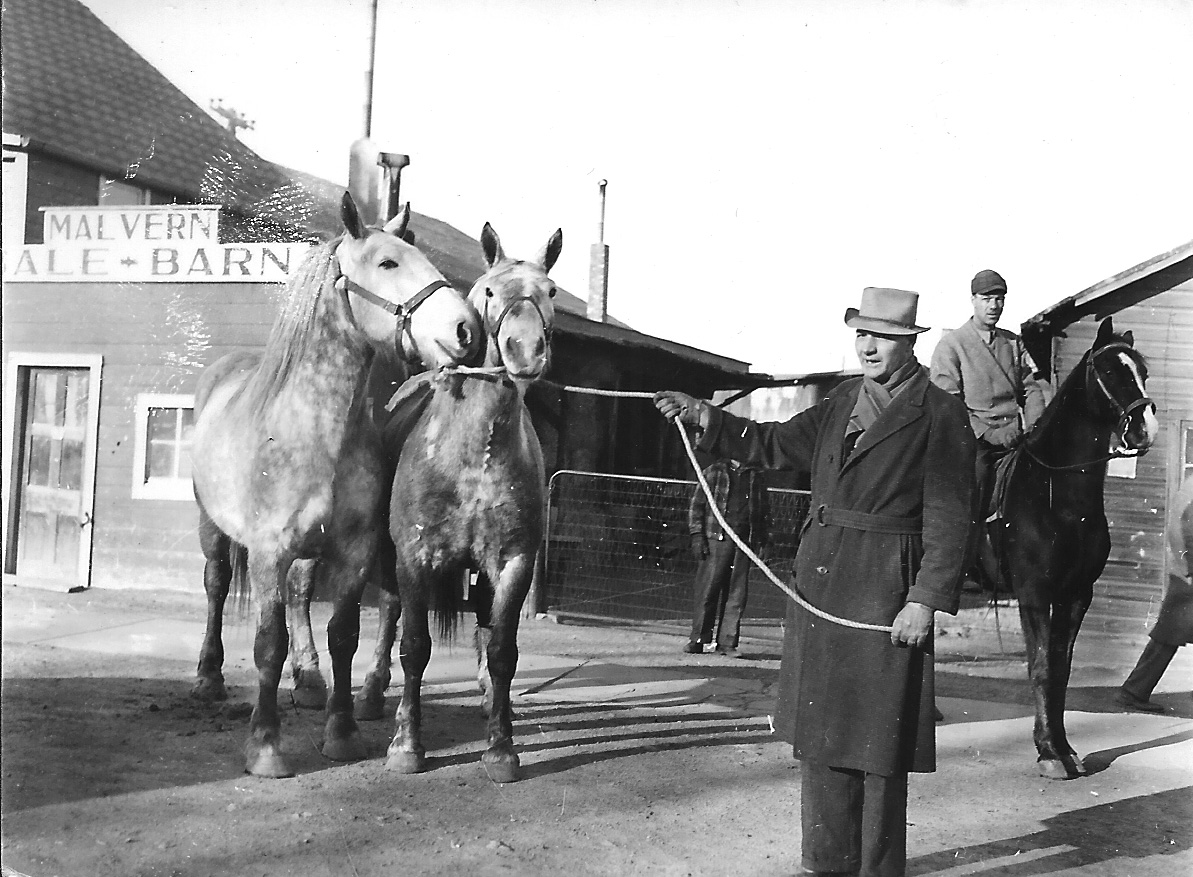 Malvern Sale Barn