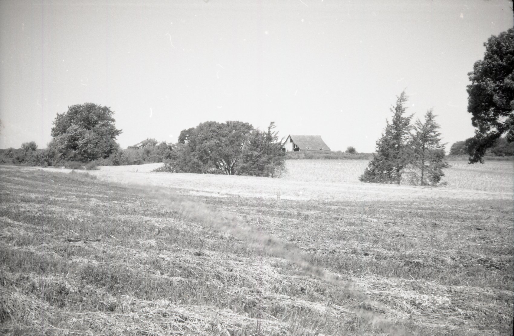 Grassy field with barn in background