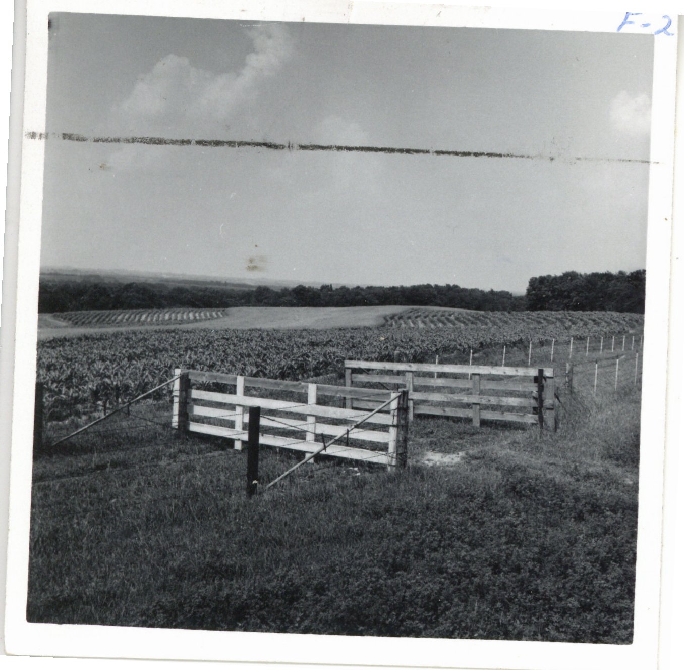 Alfred Hoffman farm