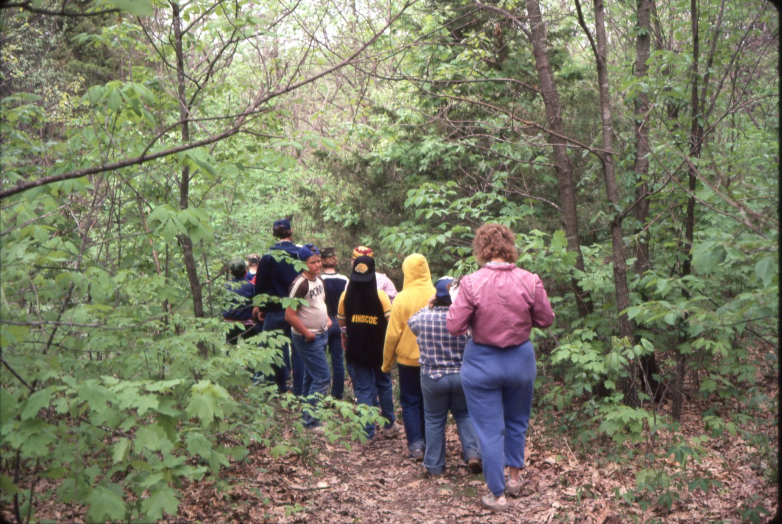 Forest exploration