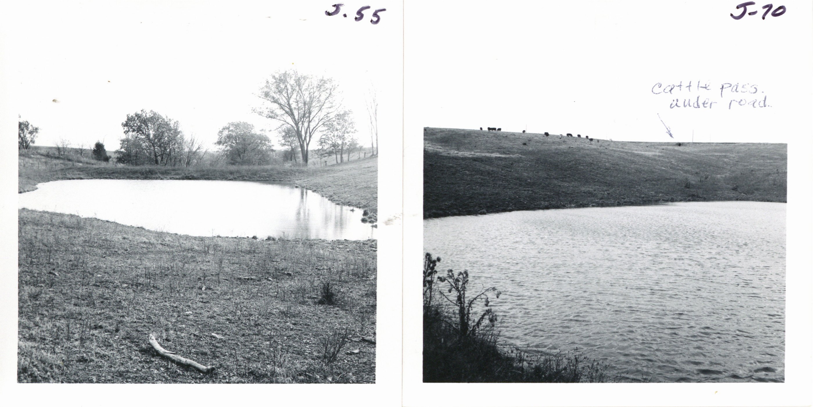 Chauncy Meyer pond, 1969