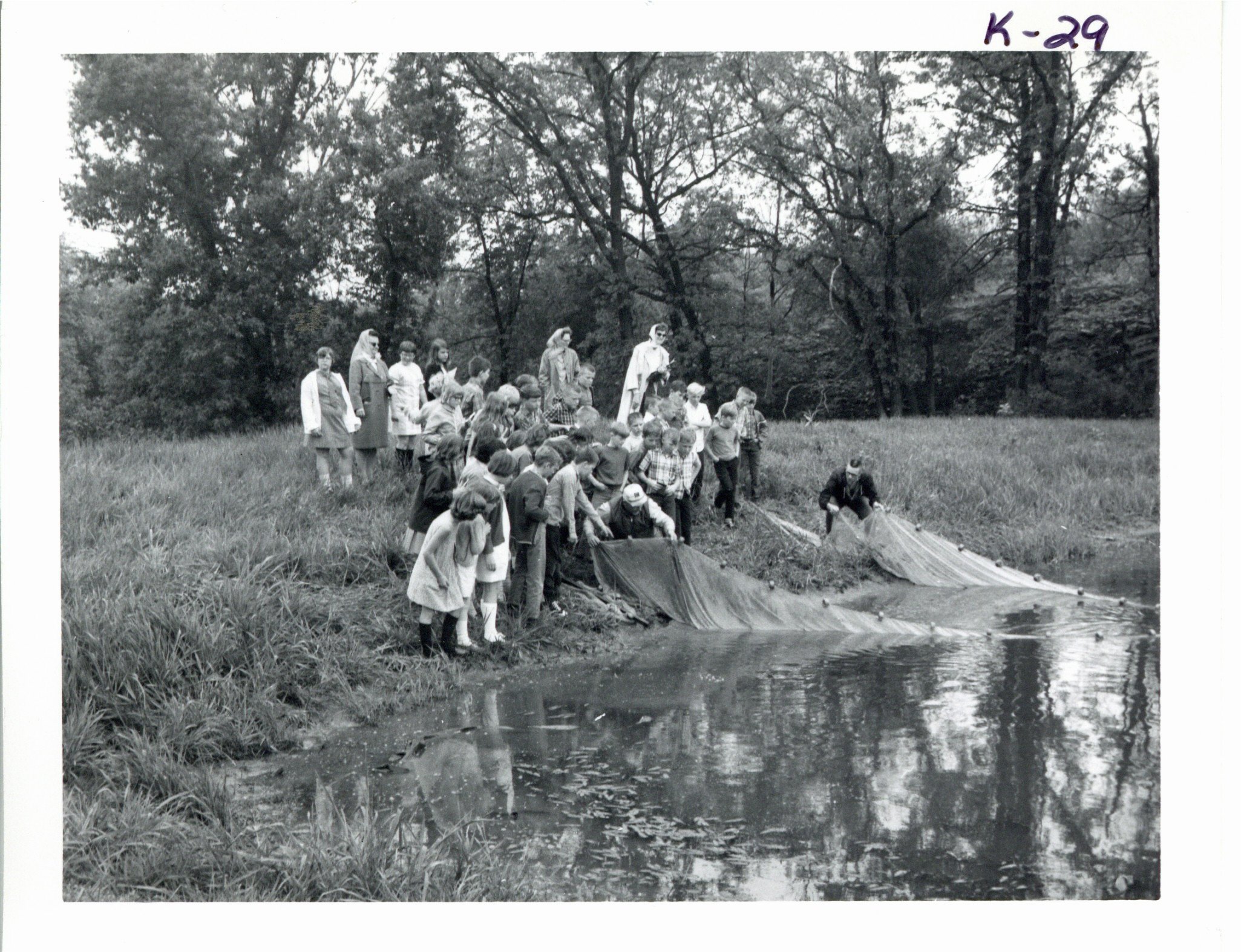 Preston fifth graders observing Harold Sullivan seining minnows from his farm pond, 1969