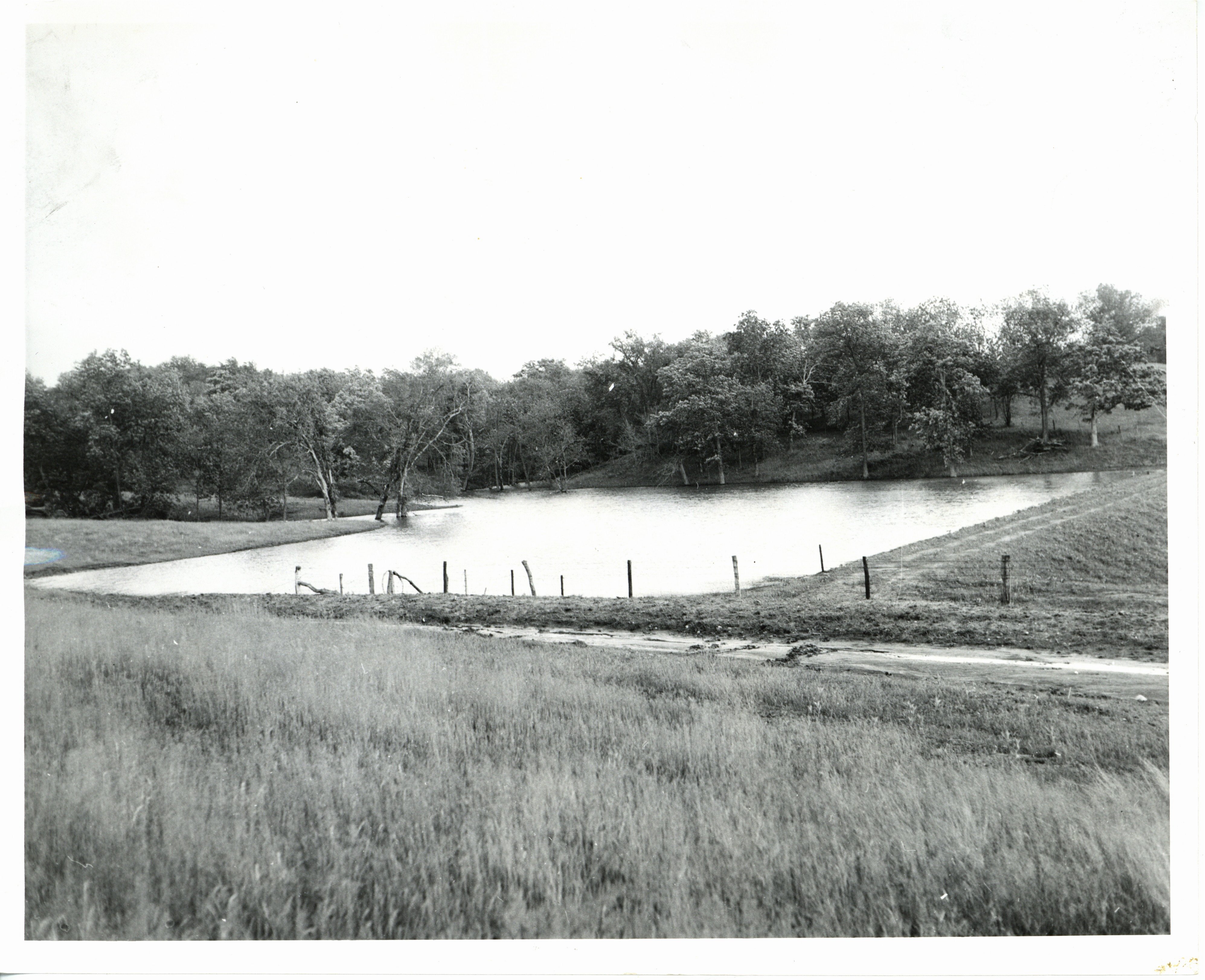 Farm pond