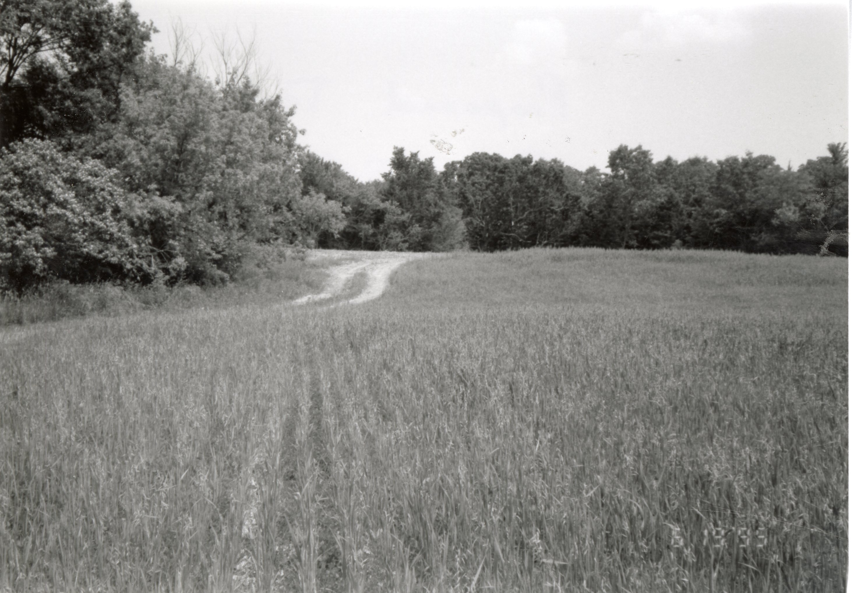 1995  Proposed Terracing Project site on Dale Edmonds' farm