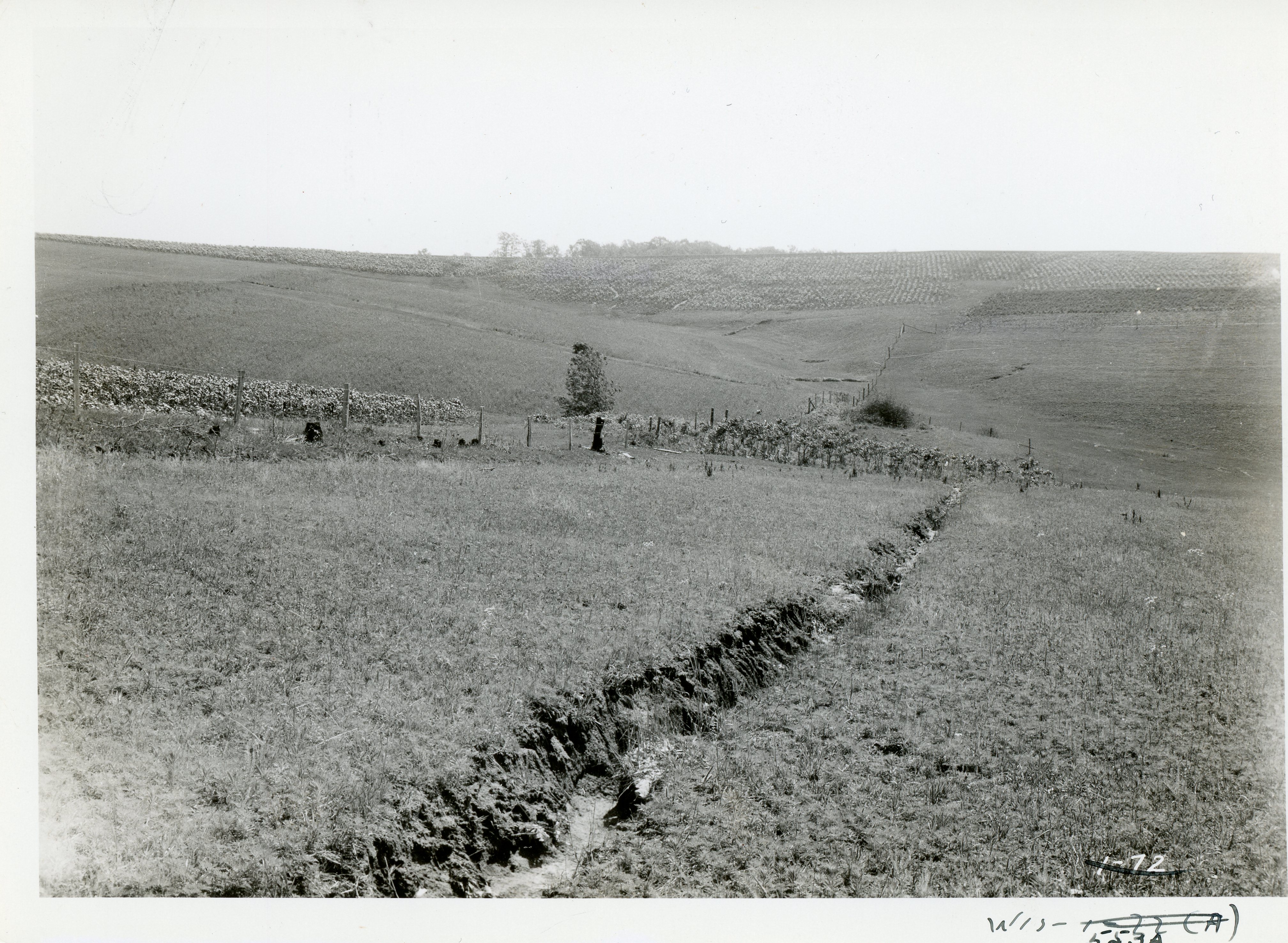 Eroding hillsides, 1934