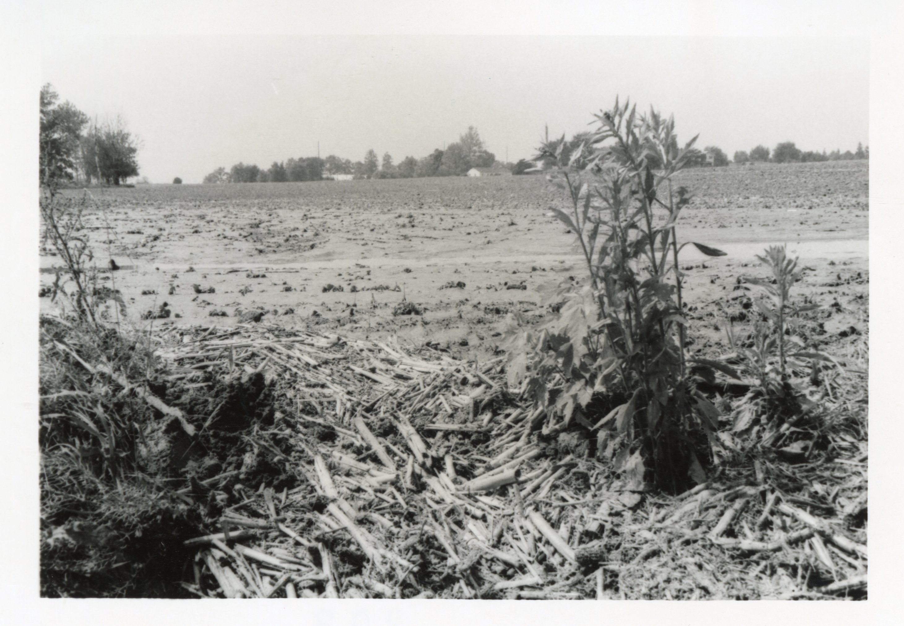 1980s - Results of too much rain