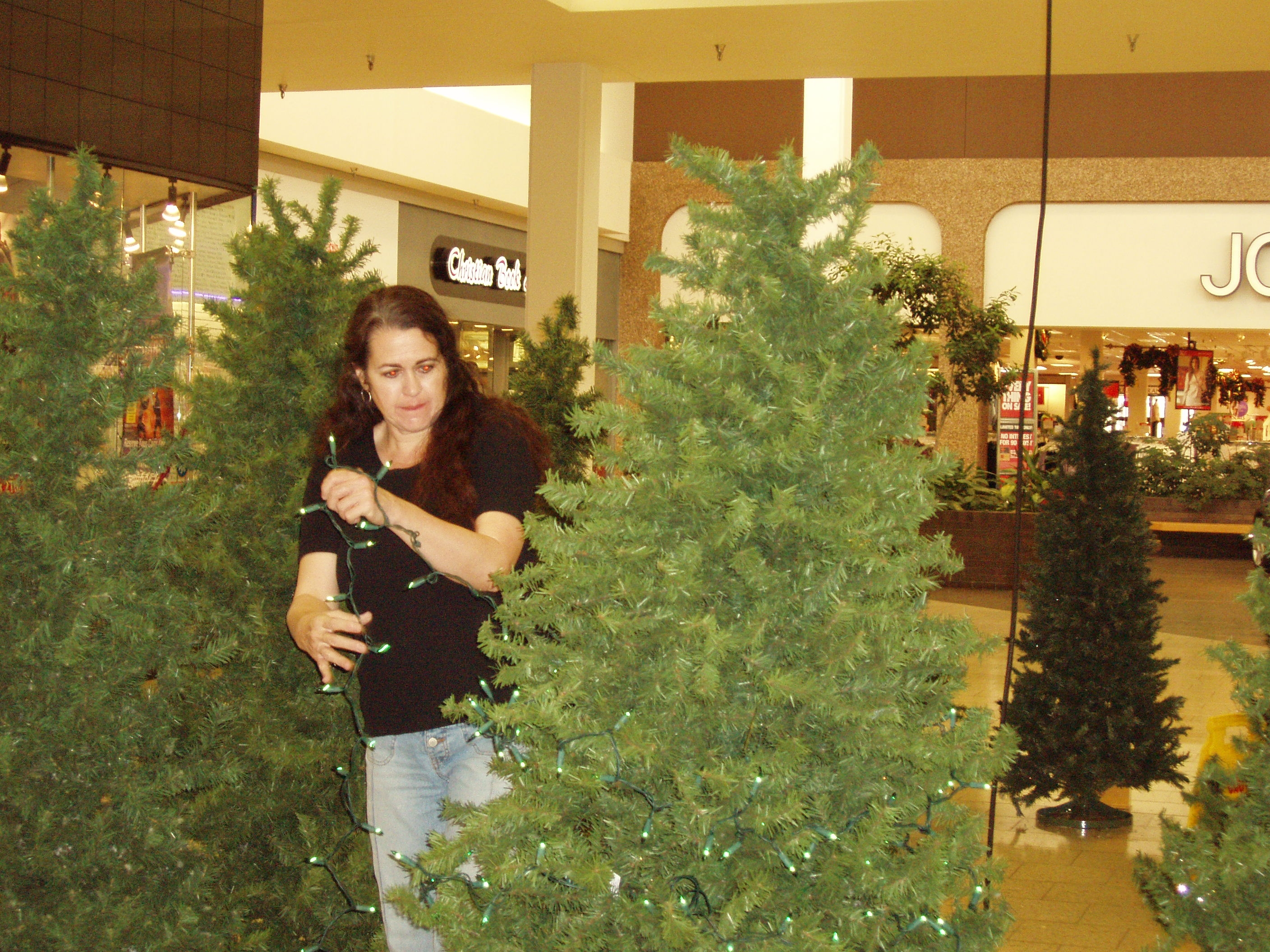 2005 Boulevard of decorated Christmas trees