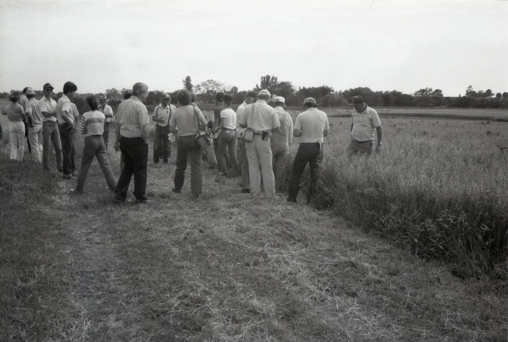 Crowd at outdoor no-till demonstration