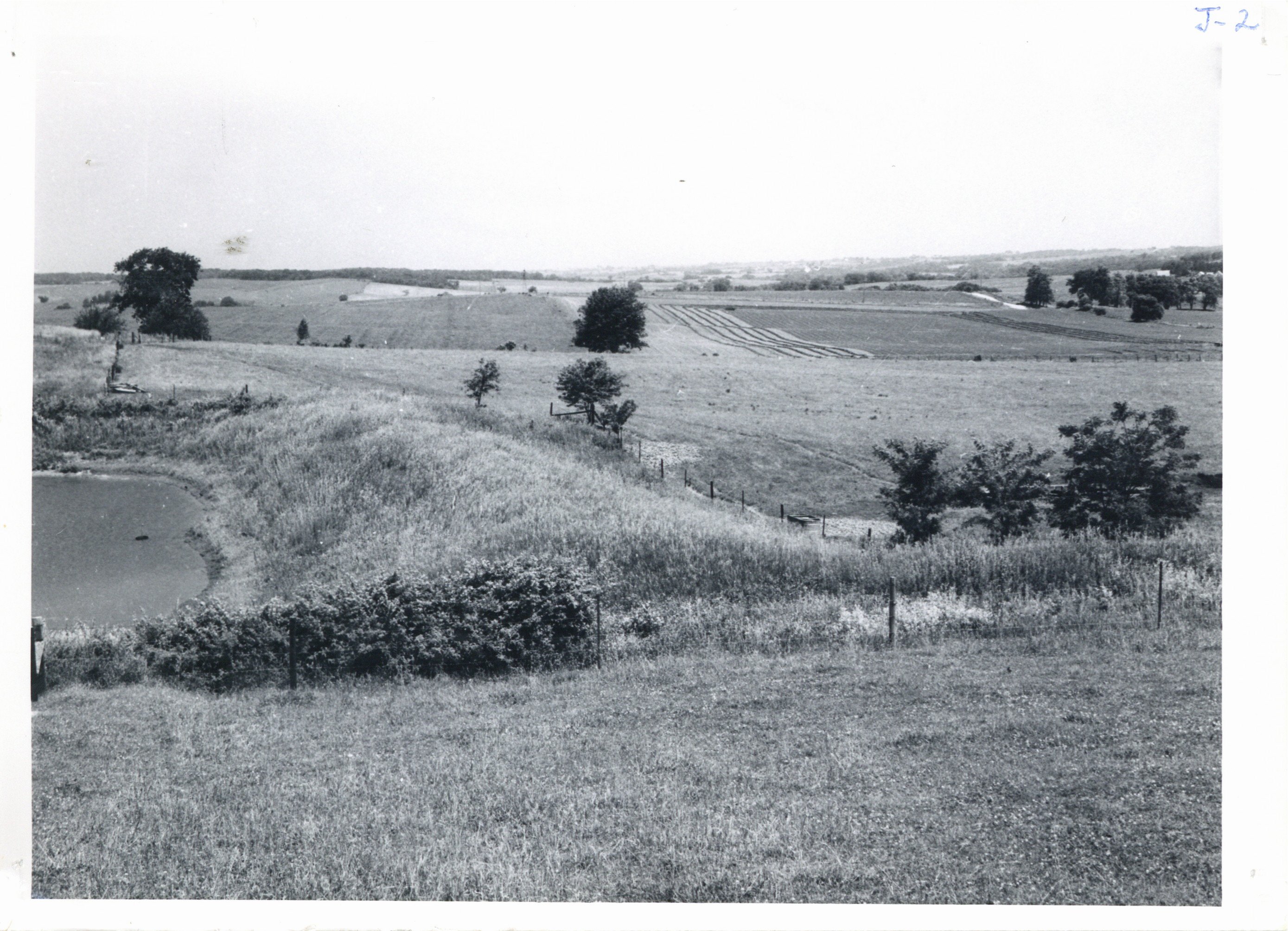 Mina Guyer farm pond, 1957