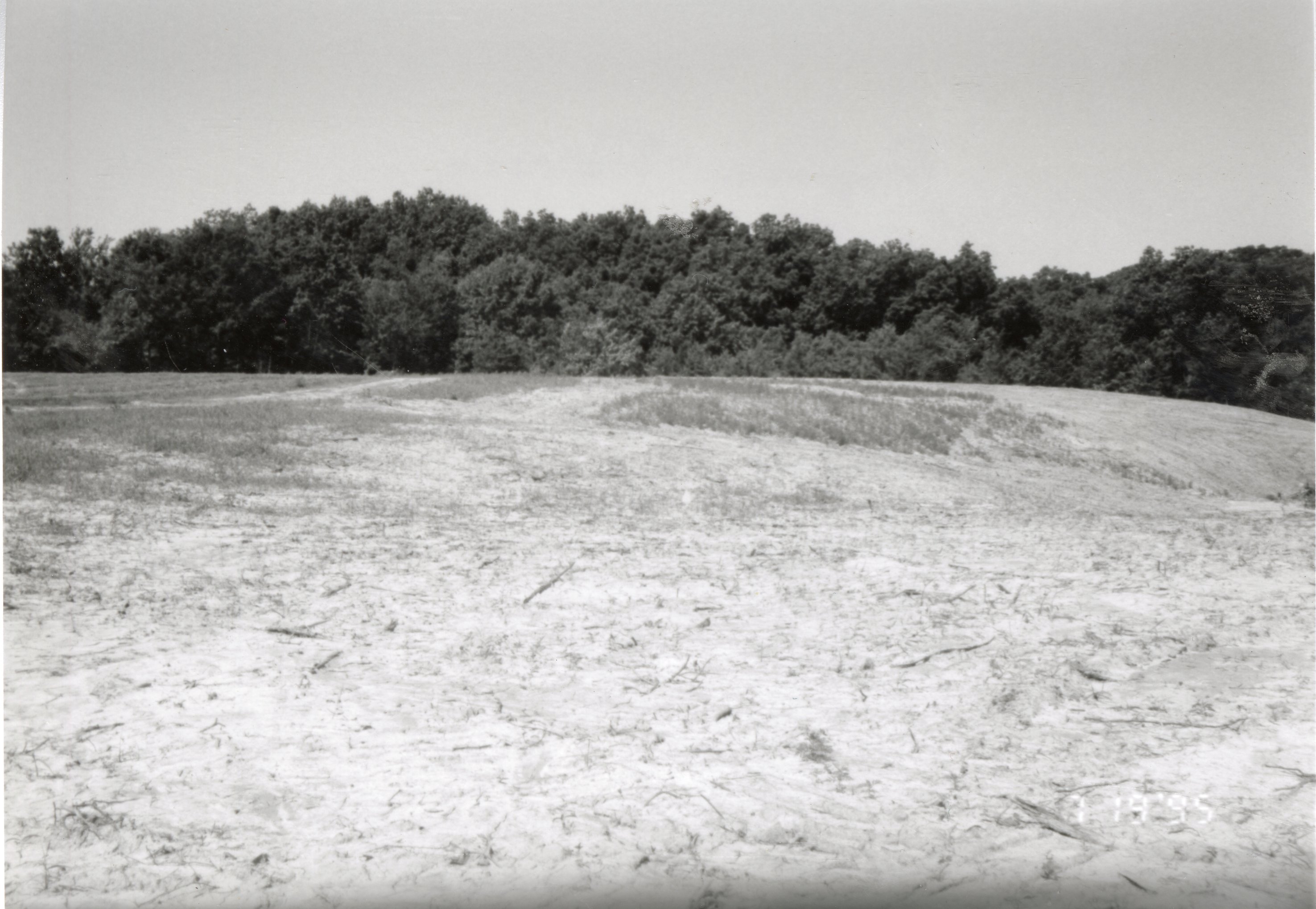 1995  Proposed Terracing project site on Dale Edmunds' farm