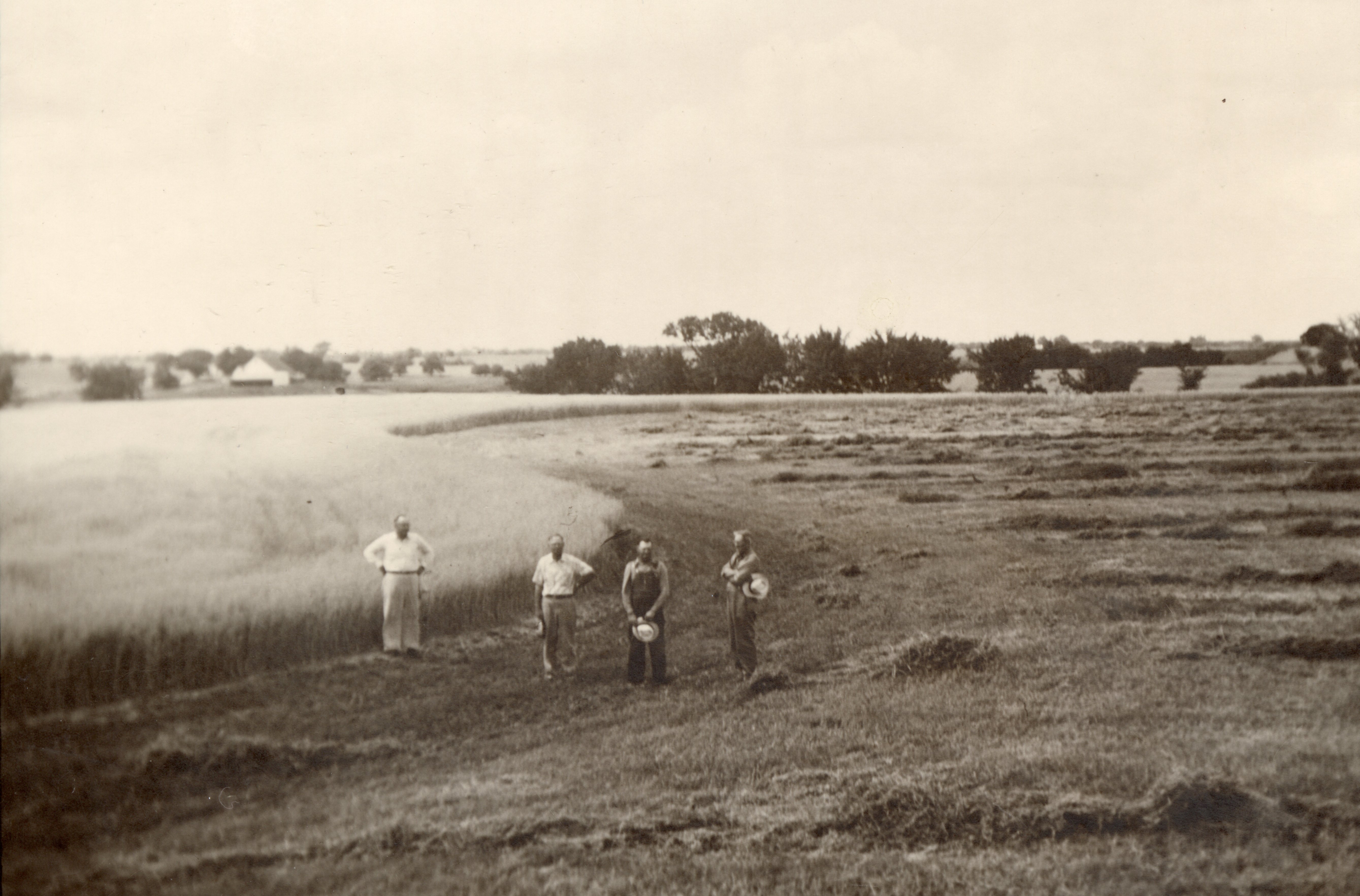 Four men Standing in Field