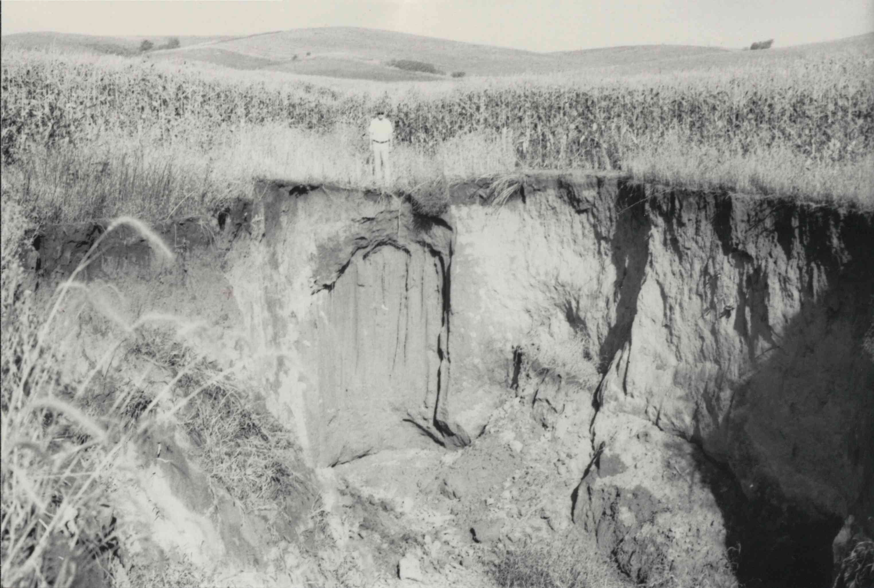 Don Graves stands over a large gully caused by erosion