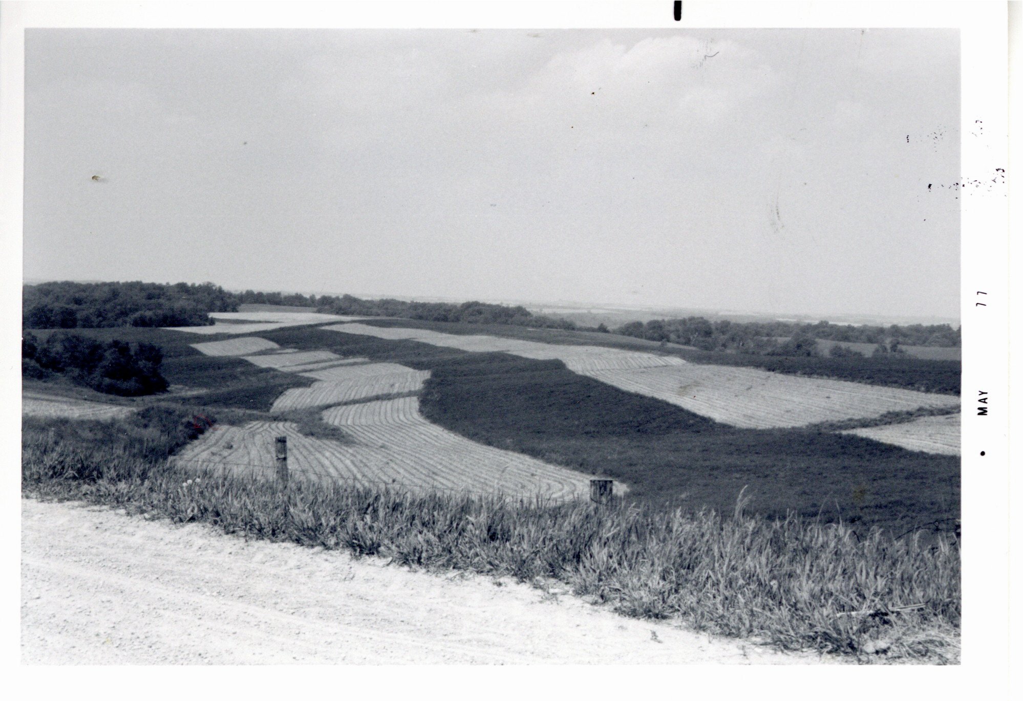 Strip cropping on Duane Marvin farm, 1977