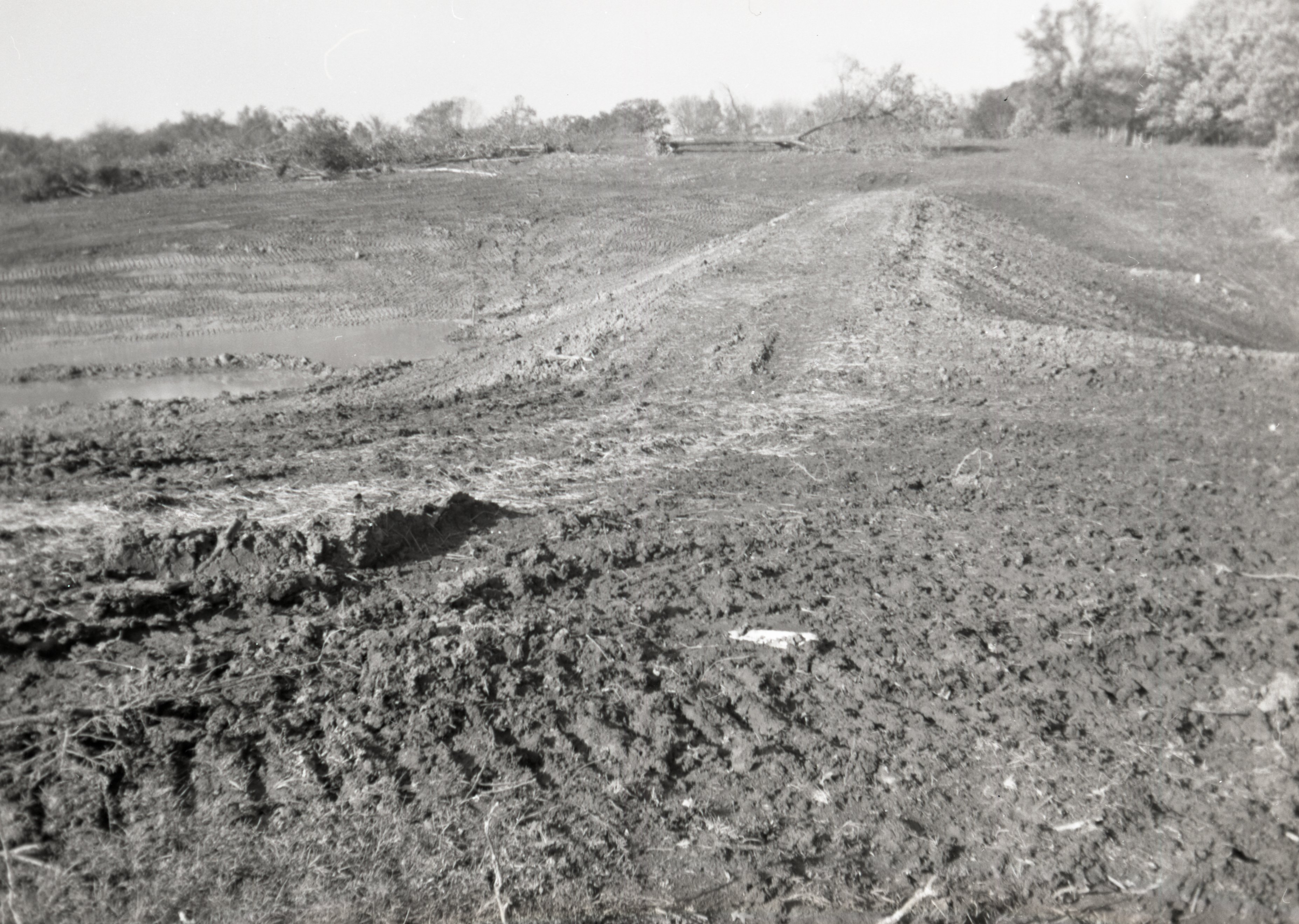 Scenes of Bare Cropland
