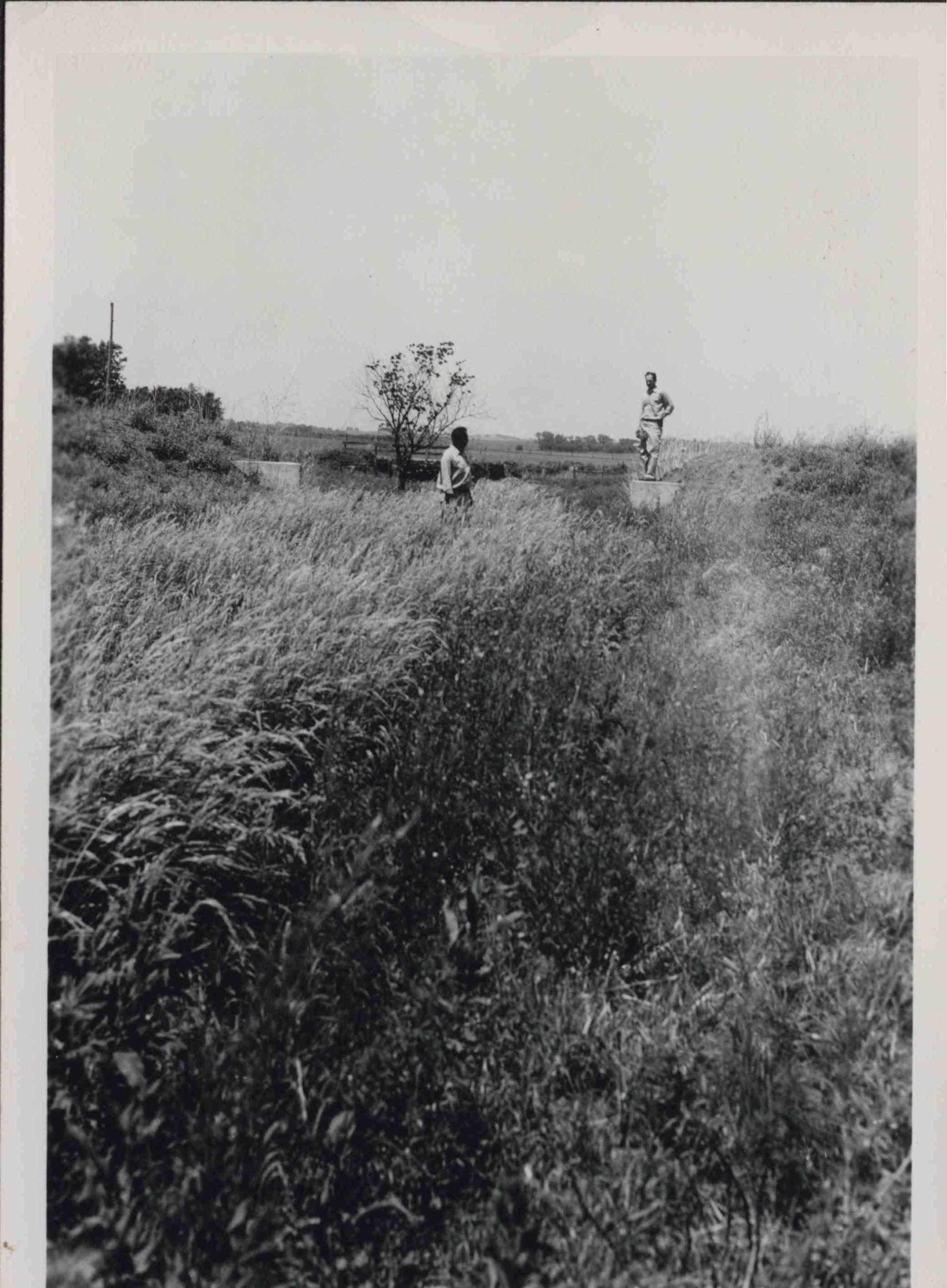 Canary Waterway on farm owned by Leo Schrader in Le Mars, Iowa
