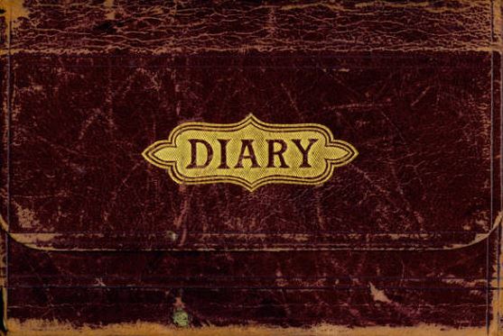 Title page; Mary Griffith diary, 1880