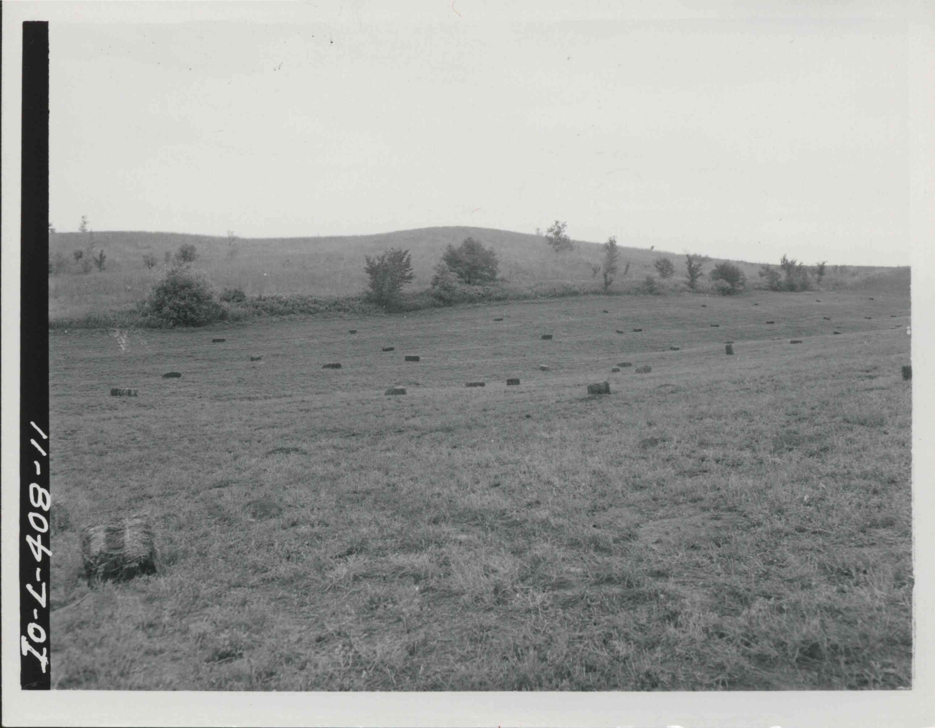 Bales of Hay lie in unidentified pasture land in Plymouth County, Iowa