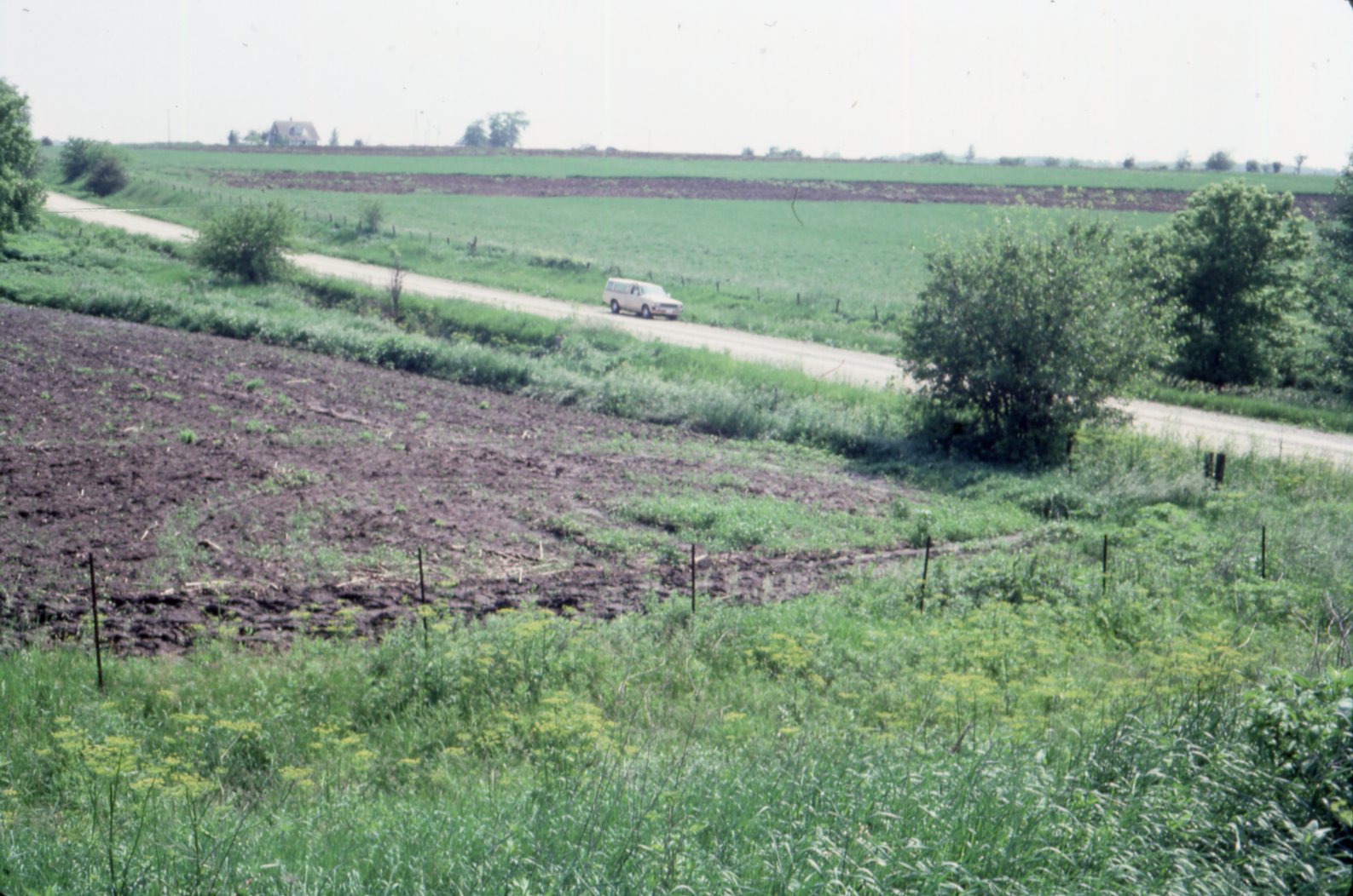 1986 Truck on road by grassy fields