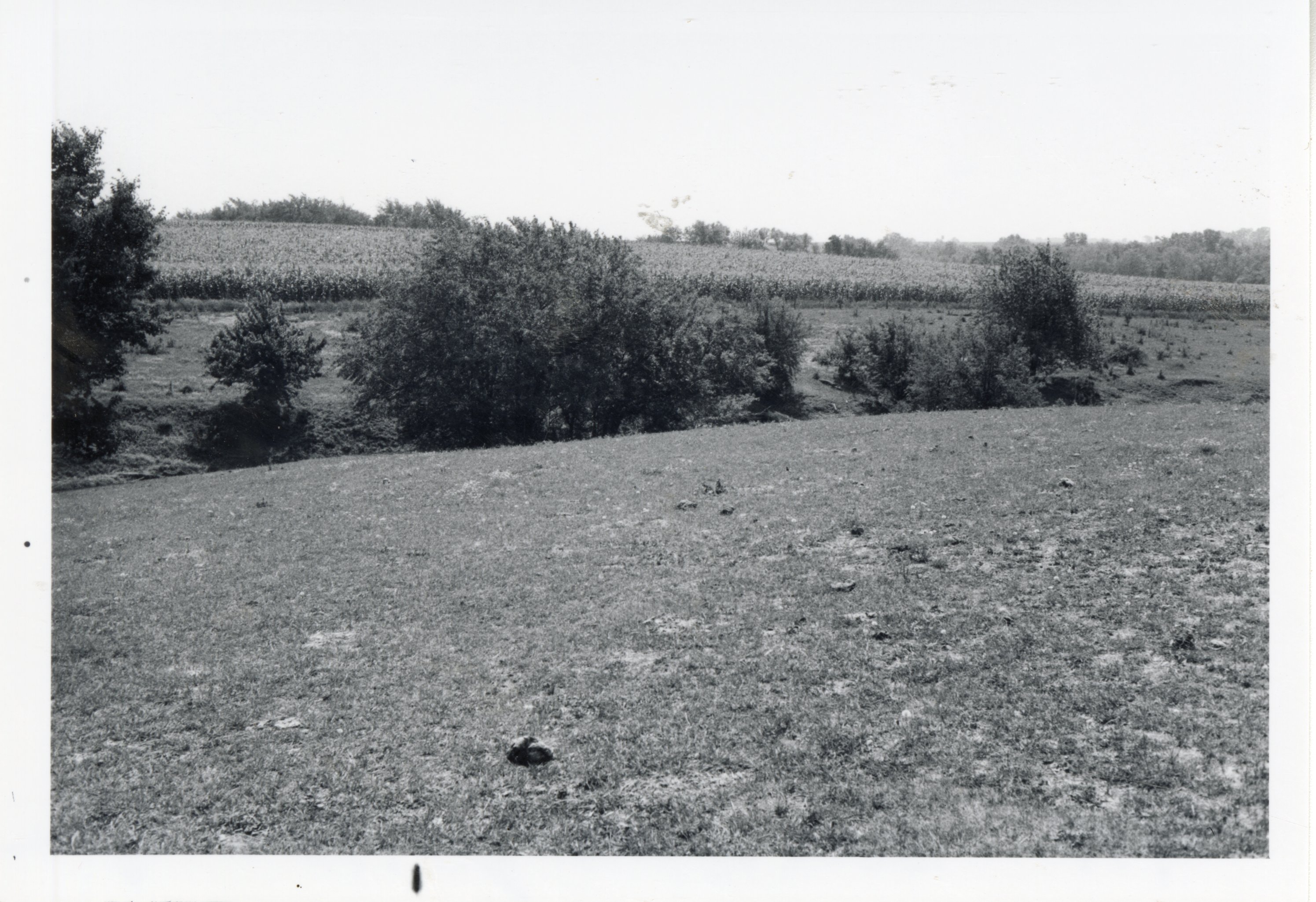 1977  Area for Bill Gitting Pond before it was built