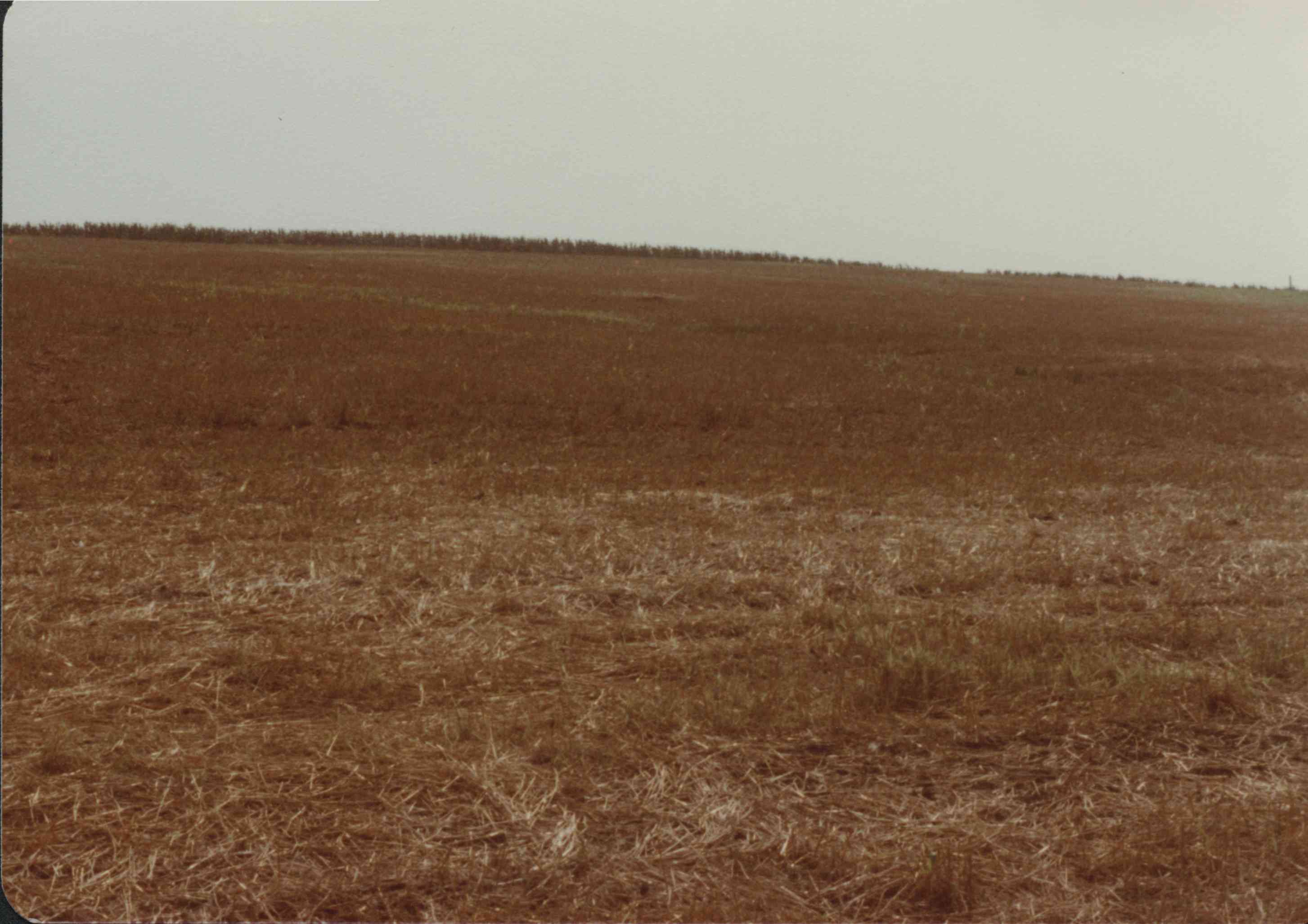 H. Tooker Structure Site