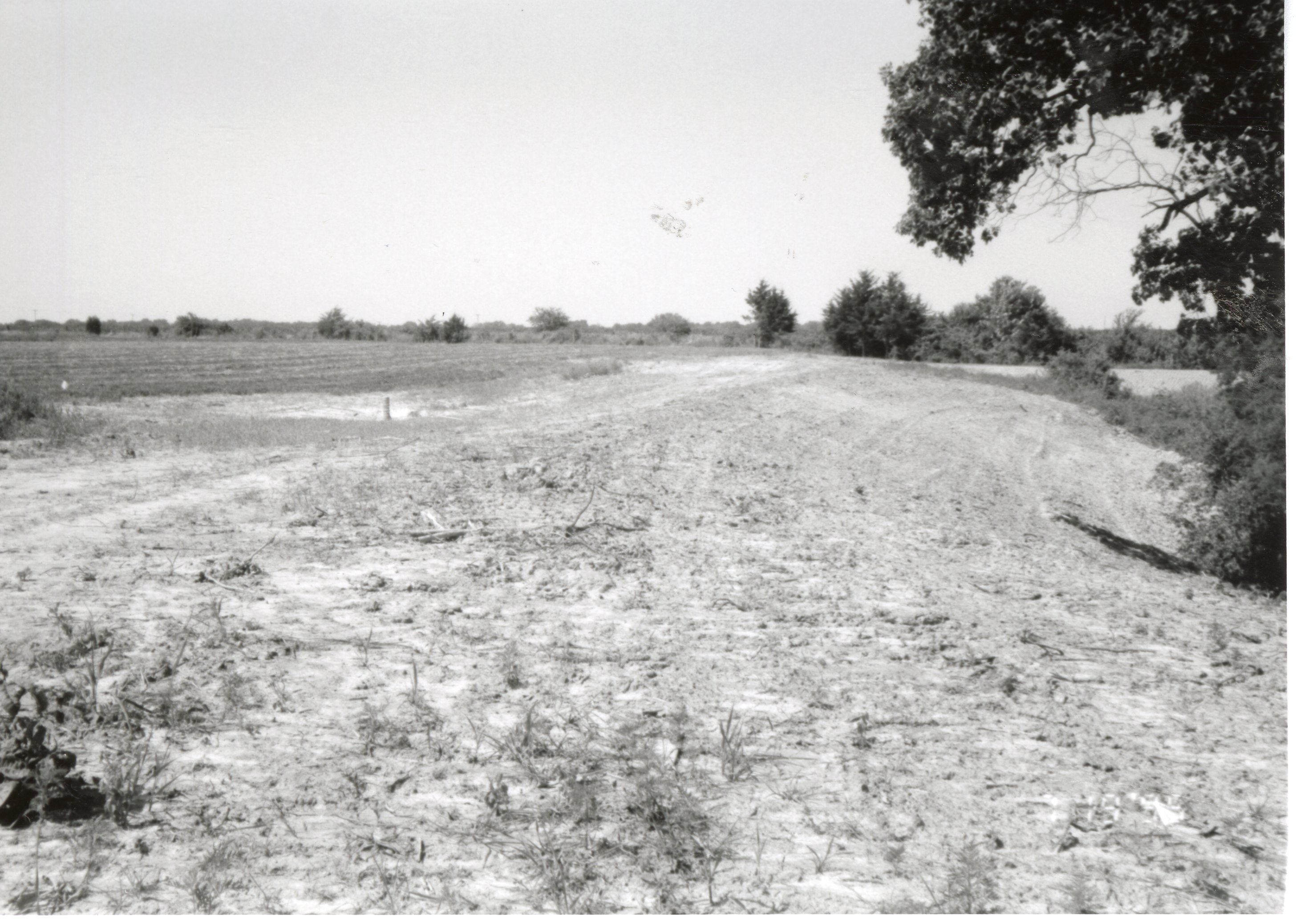1995  Proposed Terracing Project site on Dale Edmonds' farm