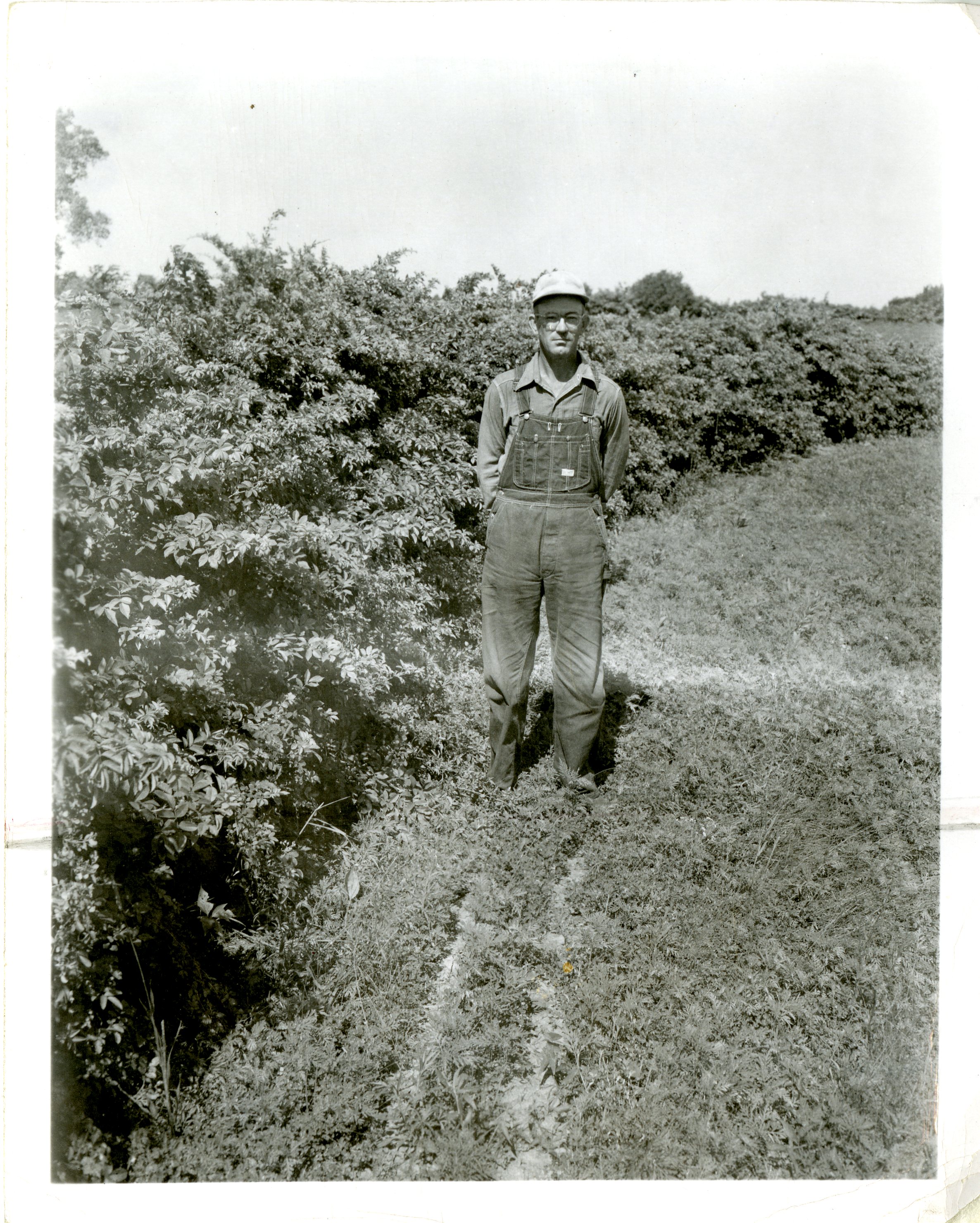 Farmer in overalls and glasses with hands in pockets stands next to shrubs