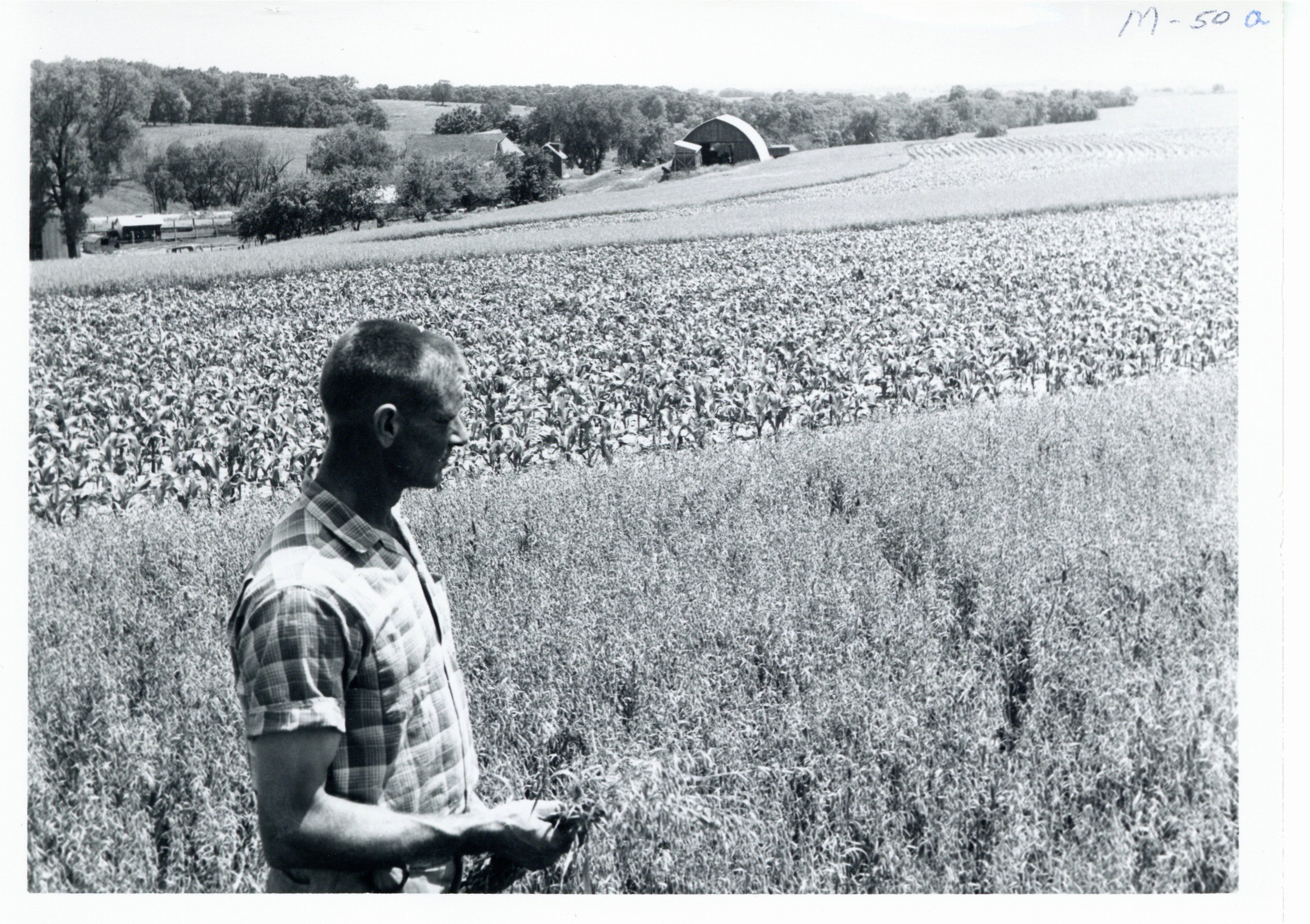 Floyd Peters views his contour stripped acres, 1967