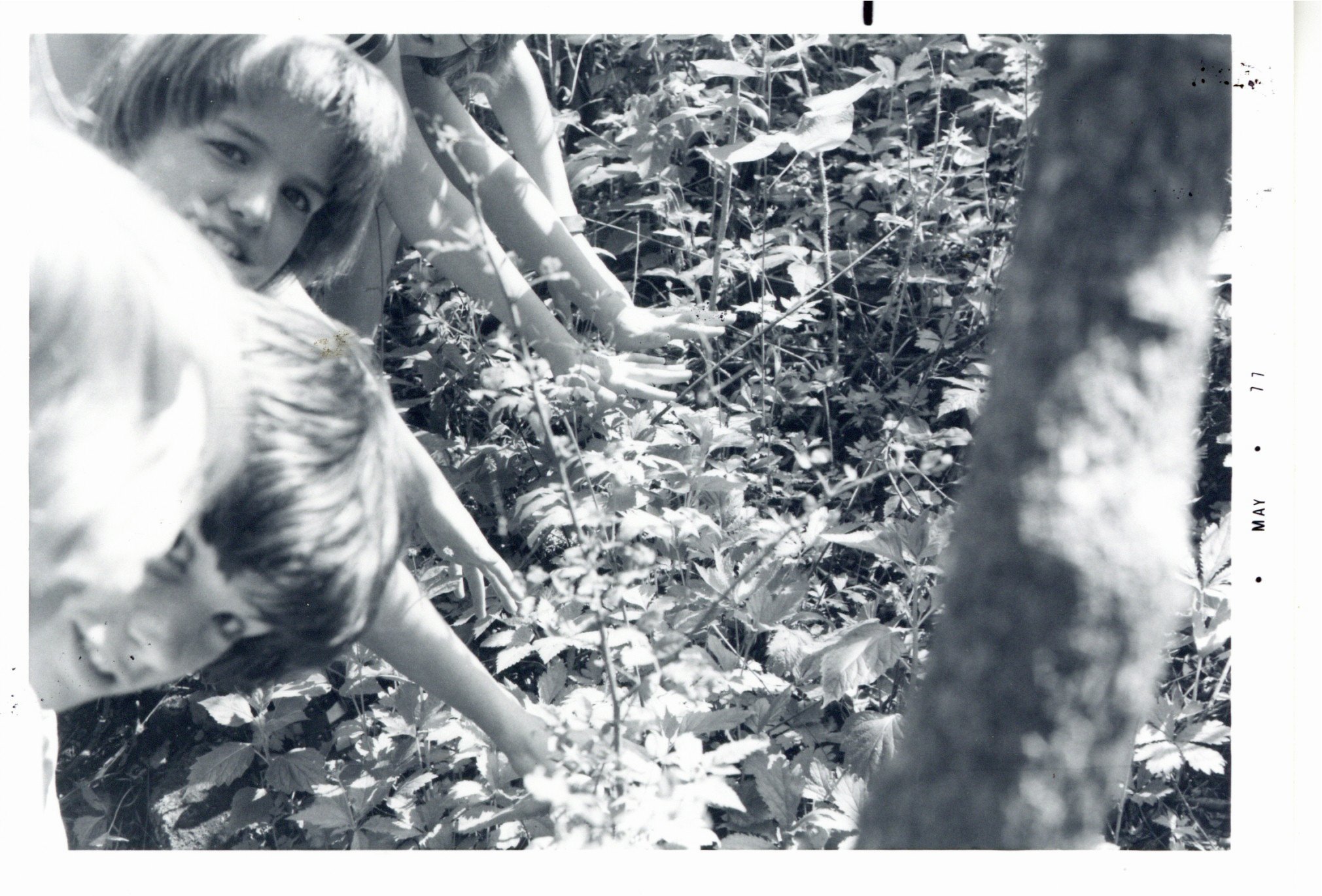 Outdoor classroom with Andrew Community School students, 1977