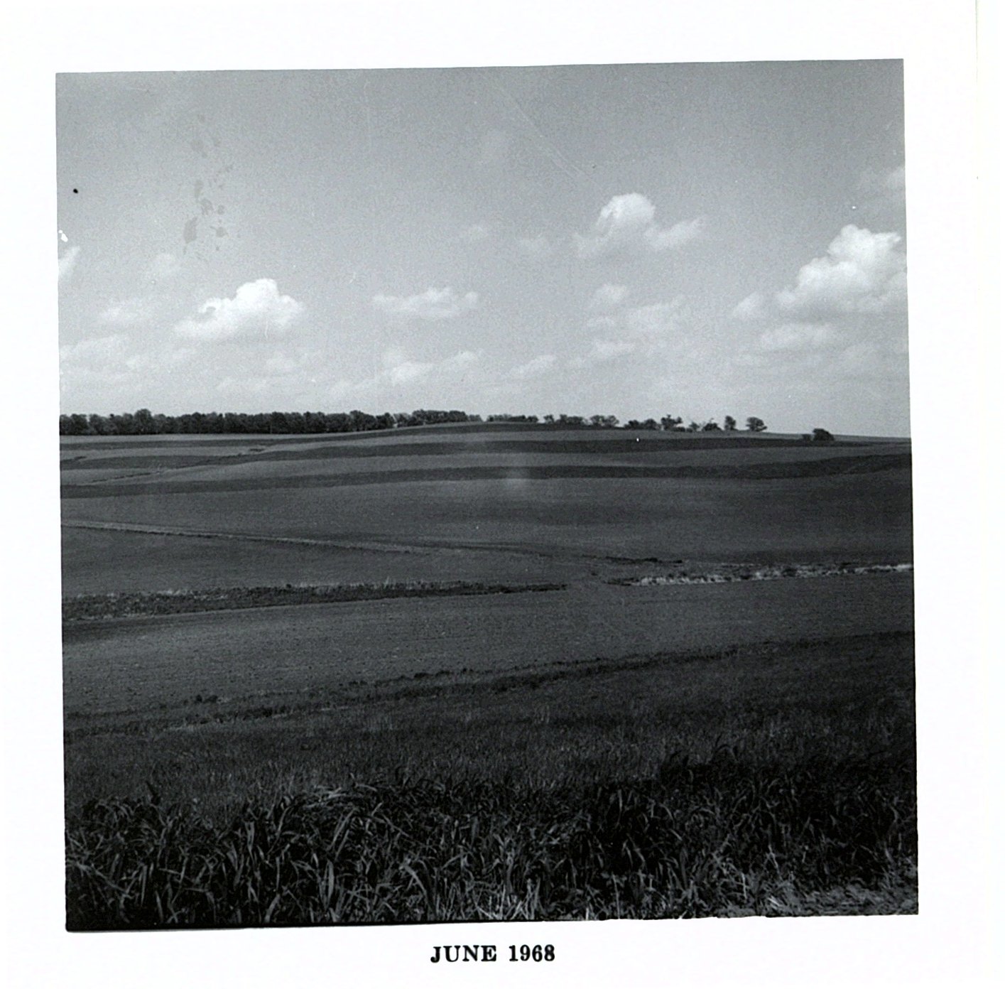 Gerald Hobbs strip crop, 1968