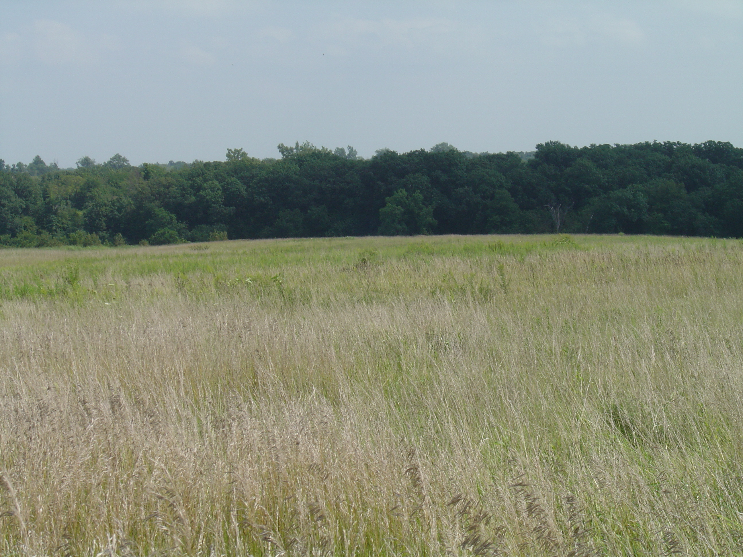2007 Jack Strawhacker CRP fields