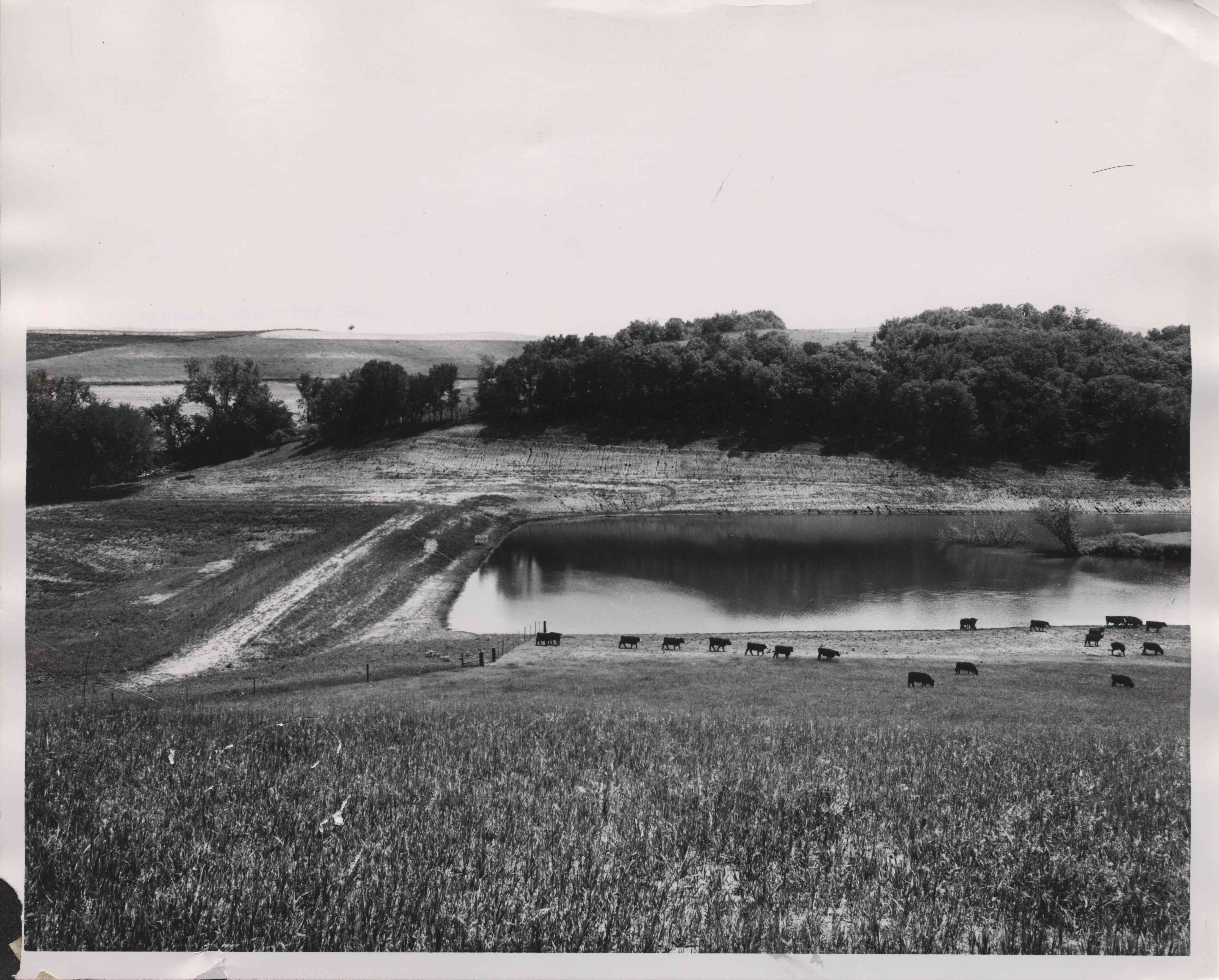 Mariana-Davis Battle Creek Watershed