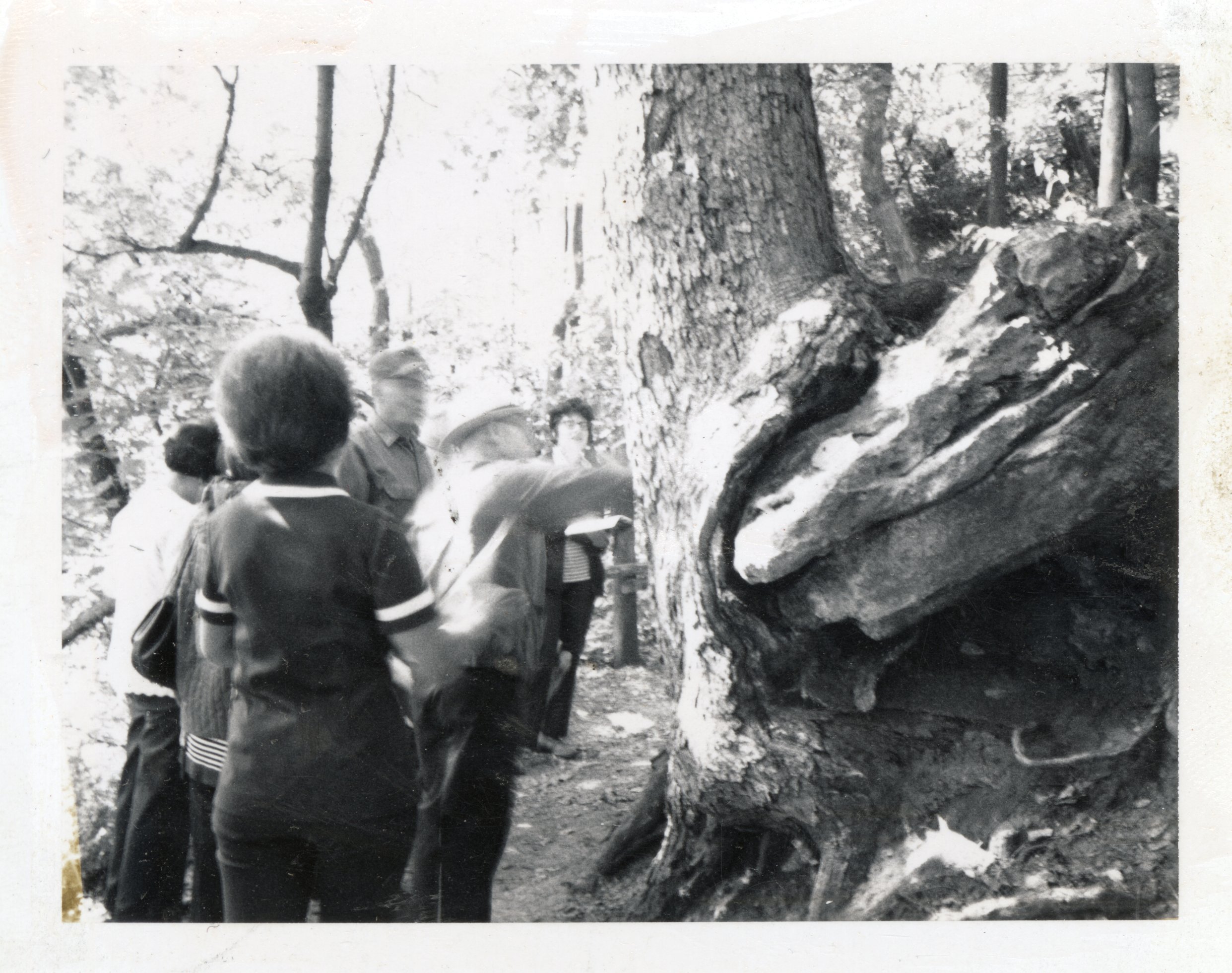 1971 Salter teachers at Crapo Park stand in front of Octopus tree