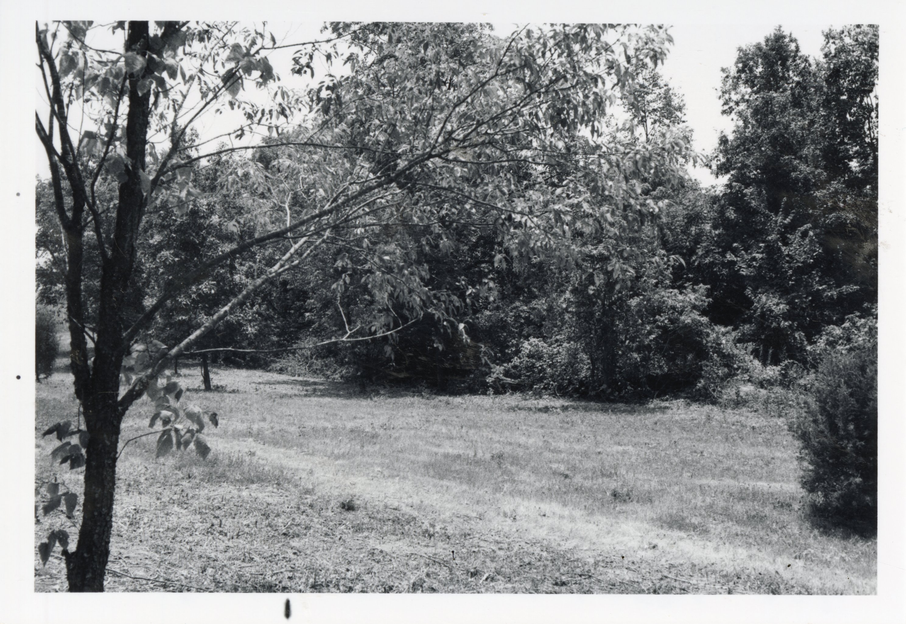 1977  Area before Robert Lane's Pond was built
