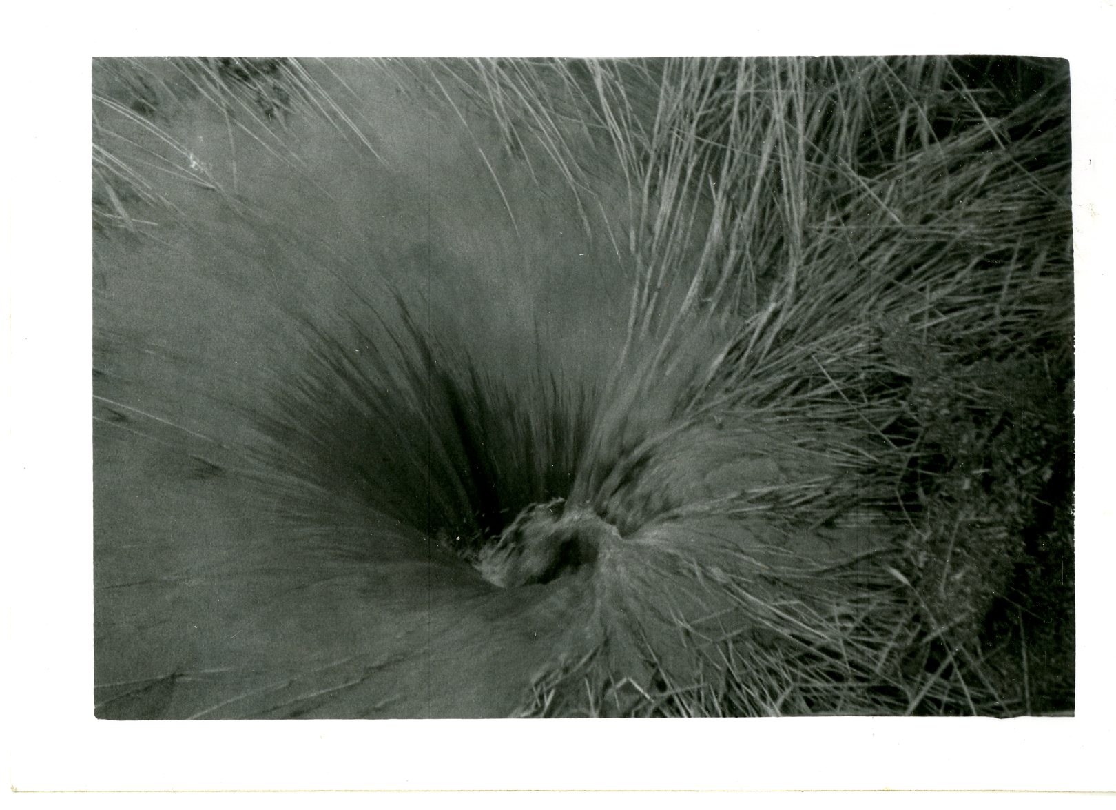 K. Wiederrecht Inlet, 1958