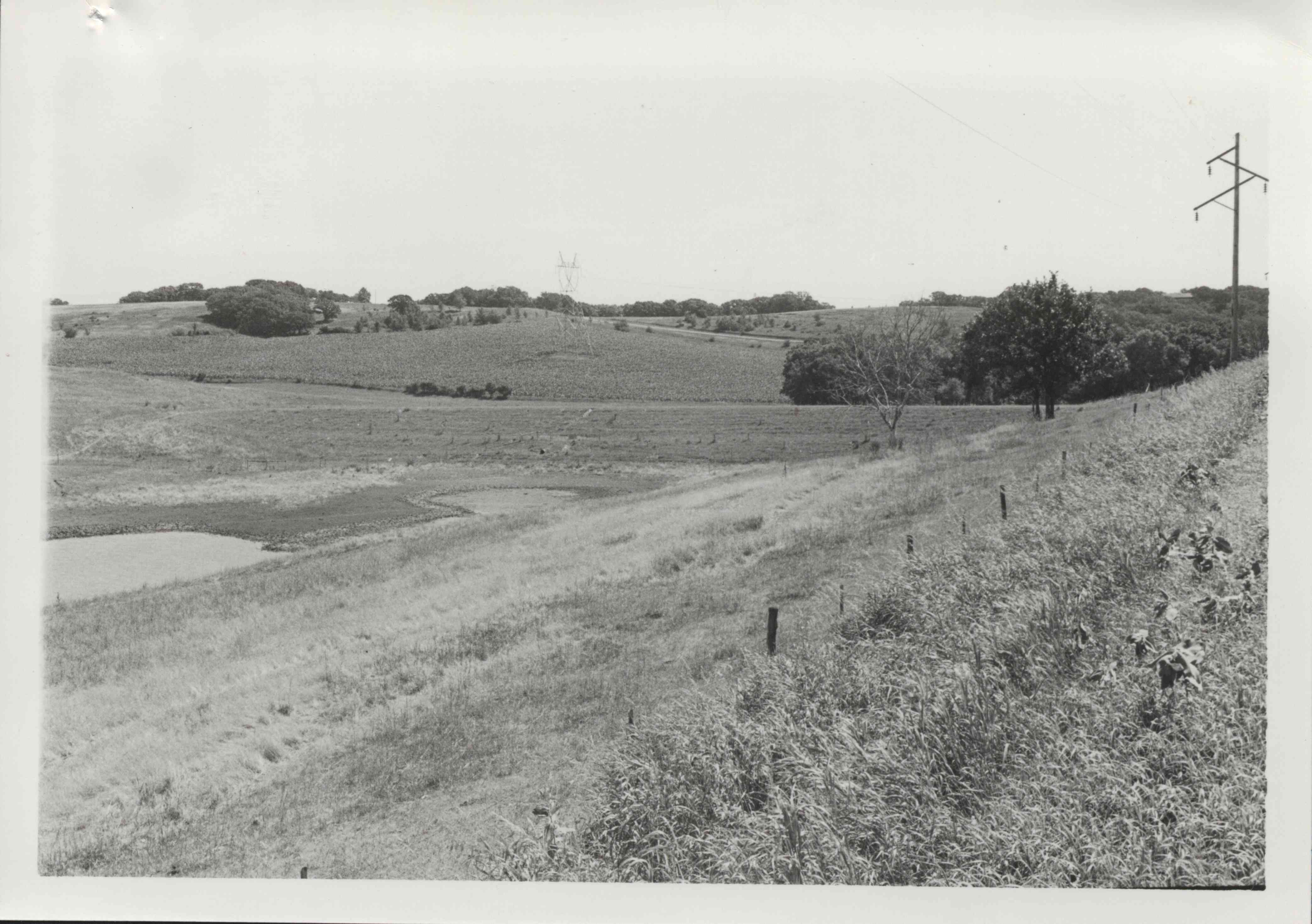 Farmland with watershed and trees in back